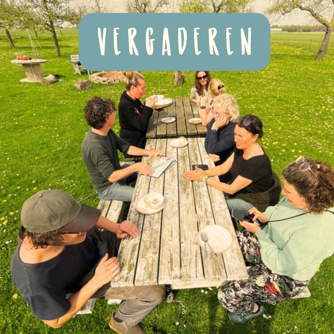 Meer groen. Minder scherm:
Brainstormen tussen de fruitbomen 🍎
Overleggen bij het vuur 🔥
Een vergadering of team dag die wel blijft hangen!
Bij Huize Blokland ruil je de vergadertafel in voor lange tafels, frisse lucht en uitzicht op groen. Tussen de sessies door wandel je over het erf, drink je koffie in de zon en ontstaan de beste ideeën vaak juist buiten of rond het vuur. Vergaderen op de boerderij geeft rust, focus en nieuwe perspectieven.
Onze boerderij is er voor teamdagen, vergaderingen en creatieve samenkomsten — met ruimte om te werken, te koken, te eten en vooral: samen te zijn.
Even uit de waan van de dag, terug naar aandacht en verbinding 🌱
Zin om het anders aan te pakken? Je bent welkom.
#vergadereninnatuur #teamdag #buitenvergaderen #huizeblokland #werkenanders