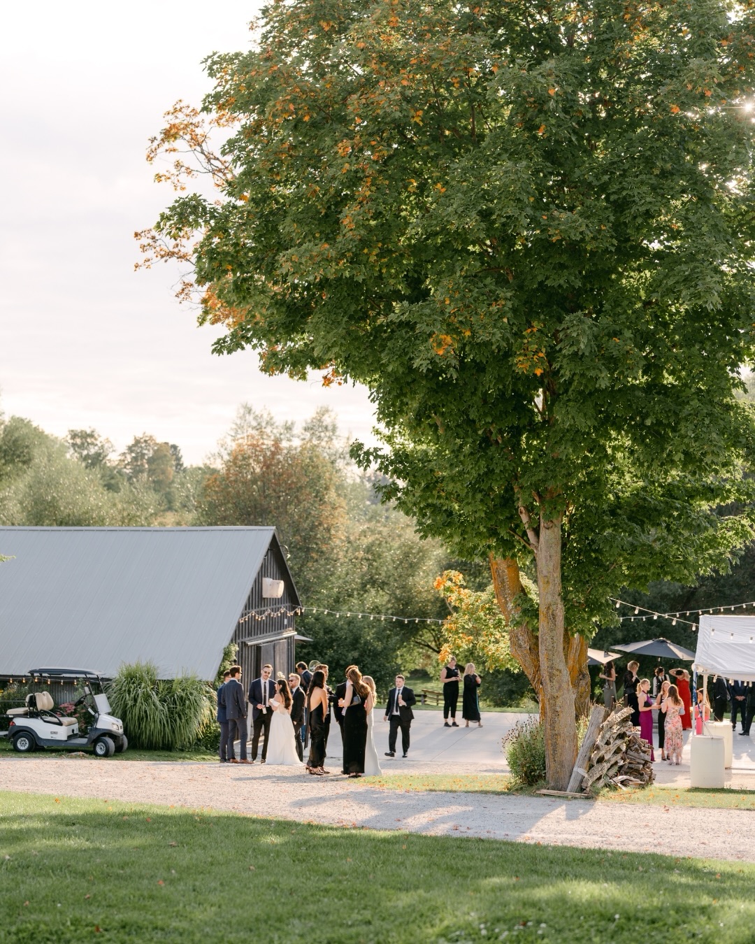 Our favourite moments this past September with M+A~ Sharing the kind of love that feels effortless ๐ค
photo: @rayastudios_ @rosannalephotography
venue: @georgianhillsโจhair & makeup: @thetaylorsavageexperience
florals: @brydoncarsondecorating.florals