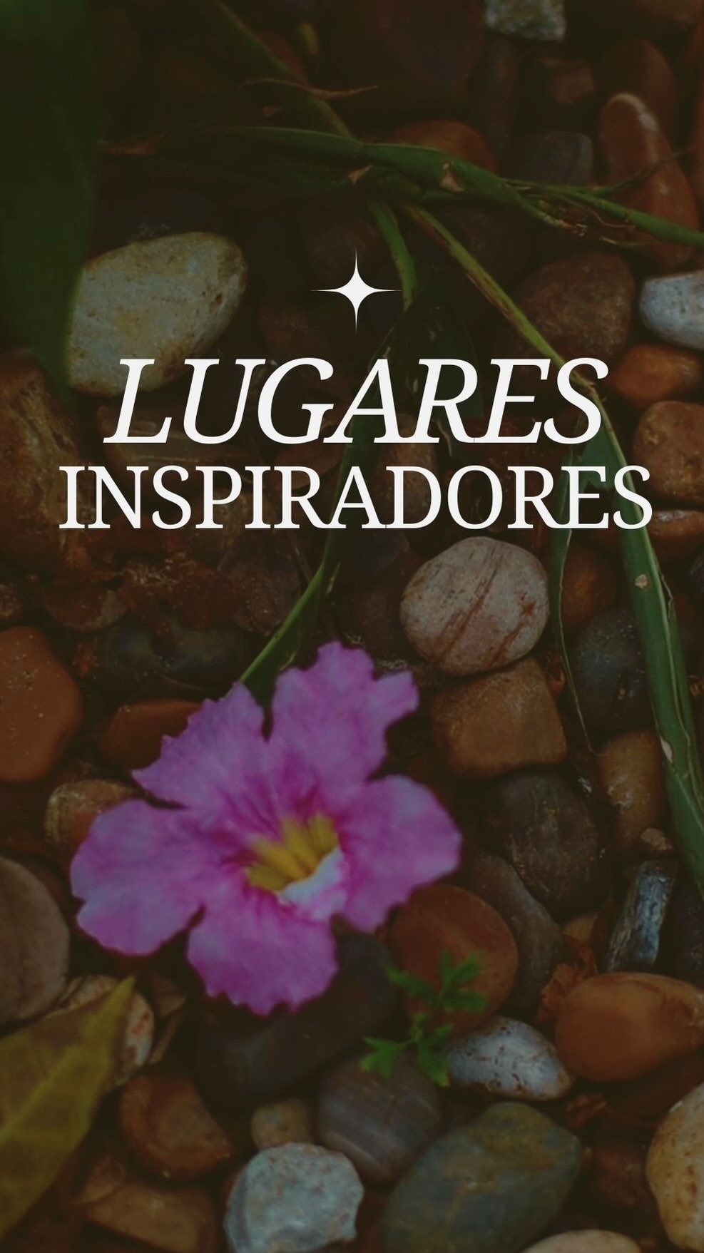 #LugaresInspiradores 🌿
El Parque Centenario está viviendo un renacer hermoso, y queremos que se convierta en un espacio para leer, caminar, encontrarse y disfrutar la ciudad con calma. 😌❣️
Aquí se mezclan libros, verde, gente linda y momentos simples que valen la pena. Haz parte de quienes vamos a cuidar el Parque Centenario, respetando el espacio, la naturaleza y a quienes lo visitan 🌱❤️🩹
Y hablando de visitar… ¿Ya lo visitaron? ¿Qué plan harían aquí?
#cartagena #planescartagena #parquecentenario