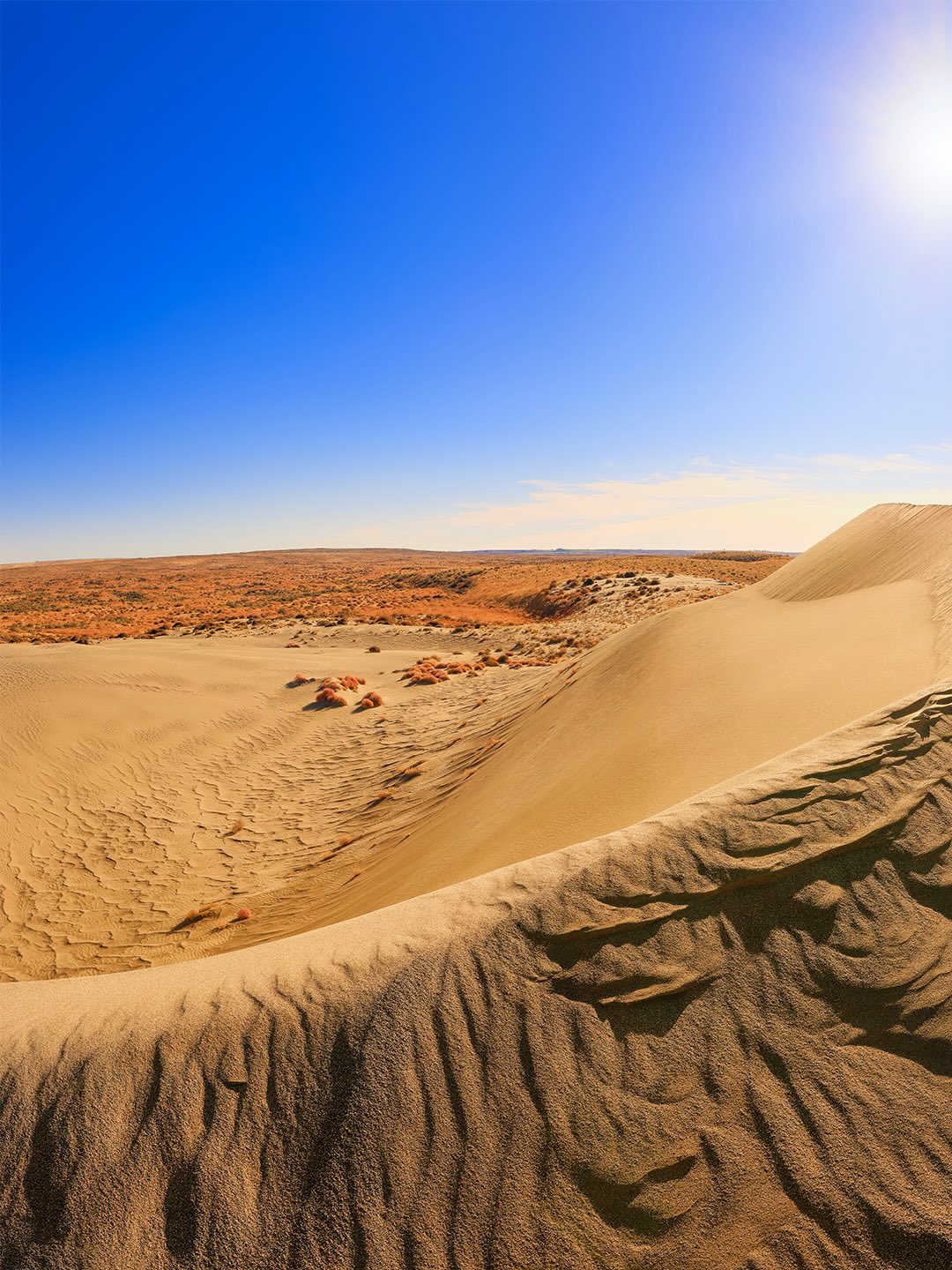 Most people don’t realize this is Washington.
No evergreens. No moss. Just wind, sand, and the wide power of the Columbia River moving past in silence.
Out here in the Hanford Reach, the land tells a different story.
Unfiltered. Unsoftened. Ancient and unexpected at the same time.
A dune shaped entirely by wind, with nothing to interrupt its will.
What surprises you most about this scene?
The desert? The river? Or the fact that it all belongs together?
Save this for when you need a reminder that the world is bigger than your assumptions.
Or send it to someone who thinks they know Washington.
#HanfordReach
#ColumbiaRiver
#WashingtonLandscape
#FineArtNature
#PNW