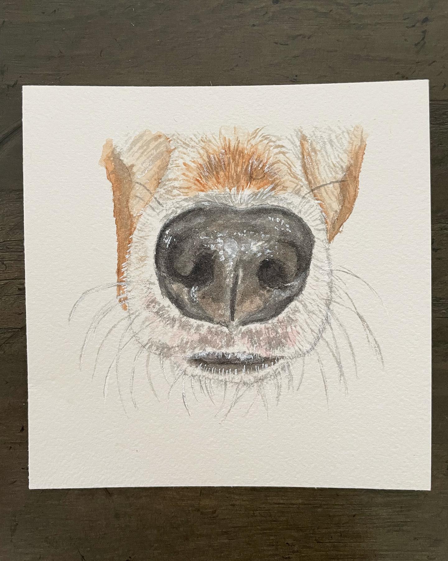 Perfectly boop-able snoot!!
#boopthesnoot #watercolorportrait #petportrait #watercolor #watercolorart