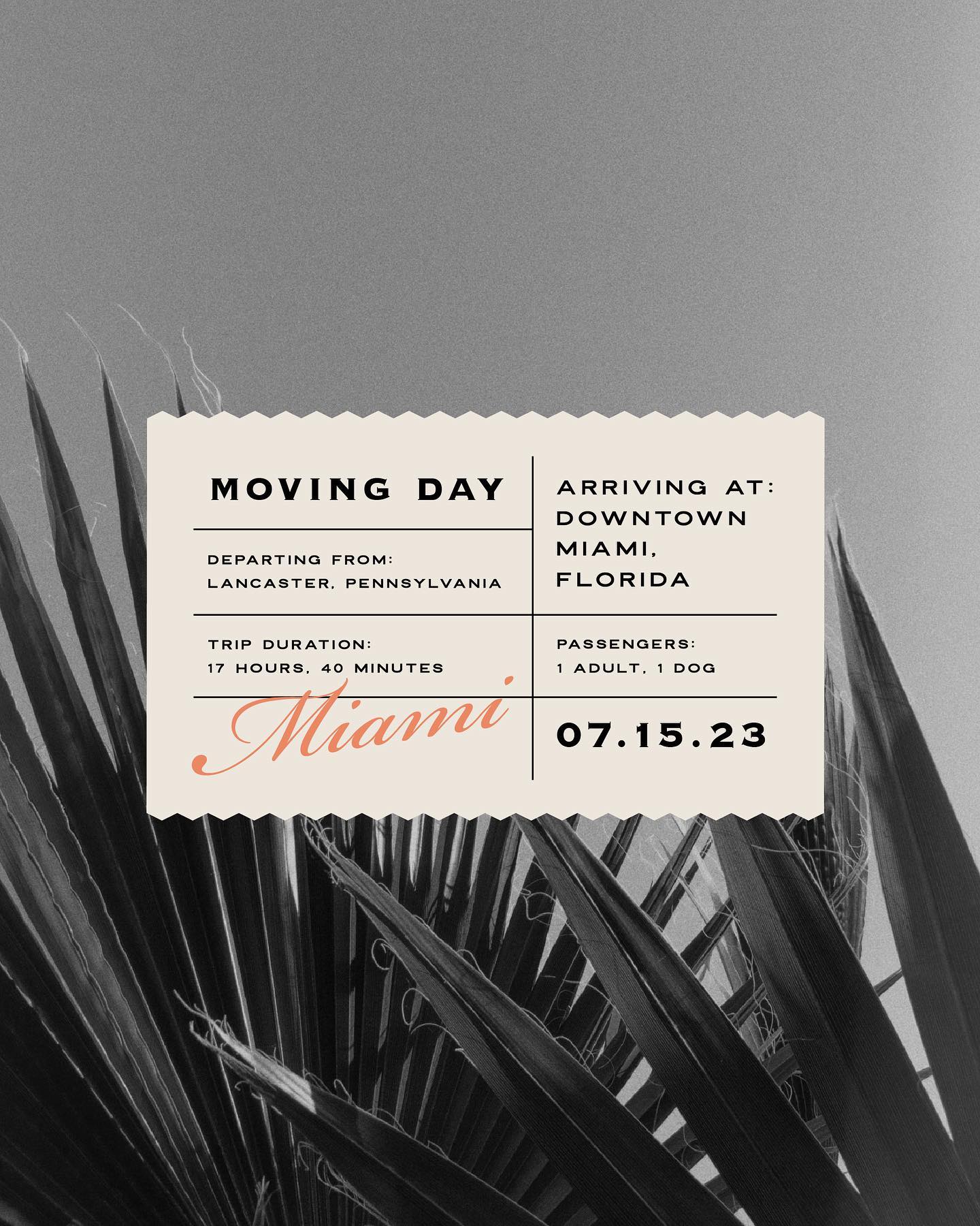 Itās official! Iām now a proud Floridian š“
Three days ago I packed up my car and drove over 17 hours to my new home. Being a huge beach girl my whole life, this move just made sense (hence the name, Sunkissed Studio).
This summer has been full of ups and downs, with lots of tears and laughs. Let the new adventures in Miami commenceš