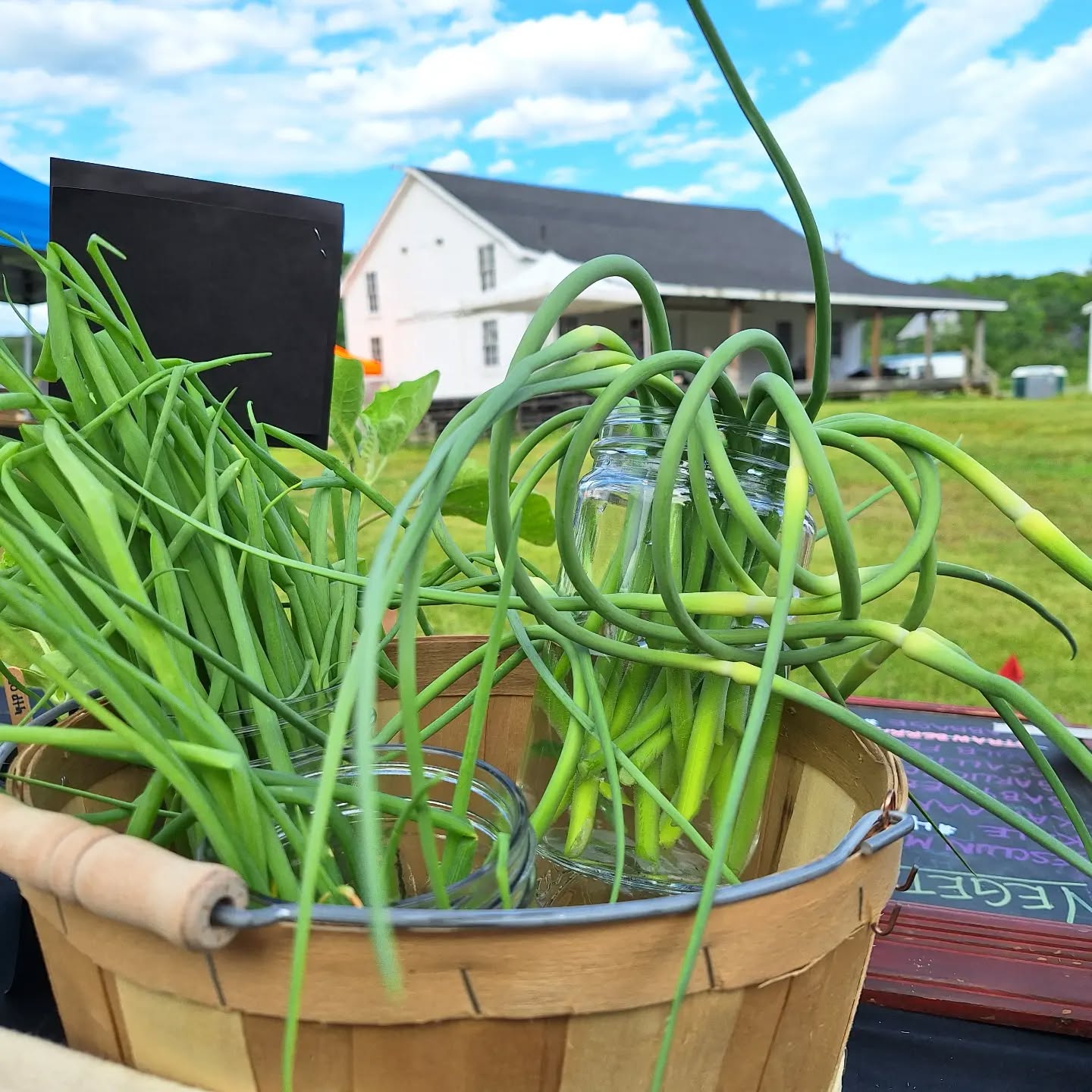 What a fun afternoon at the New Union Farmers Market! Great people, great location, great music -- we even have a theme song!
#localfood #mainefarming #mainegrown #mainefarmersmarkets #smallfarm