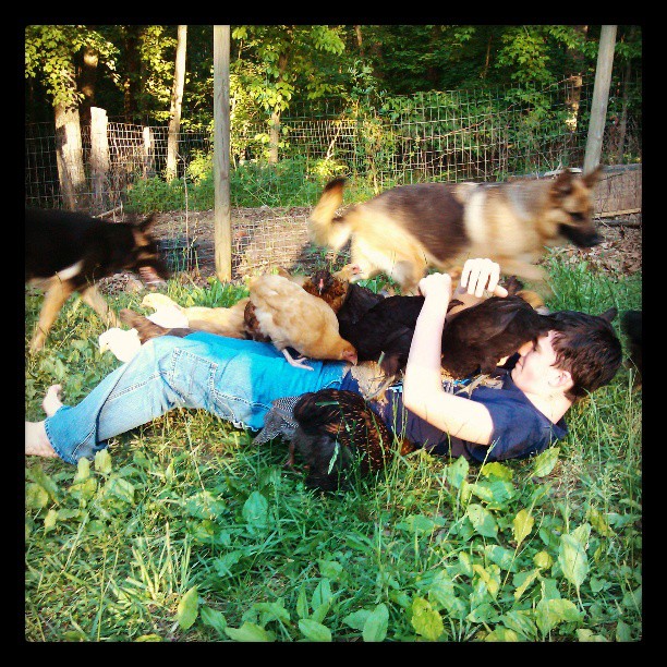 Joshua loves his chickens!