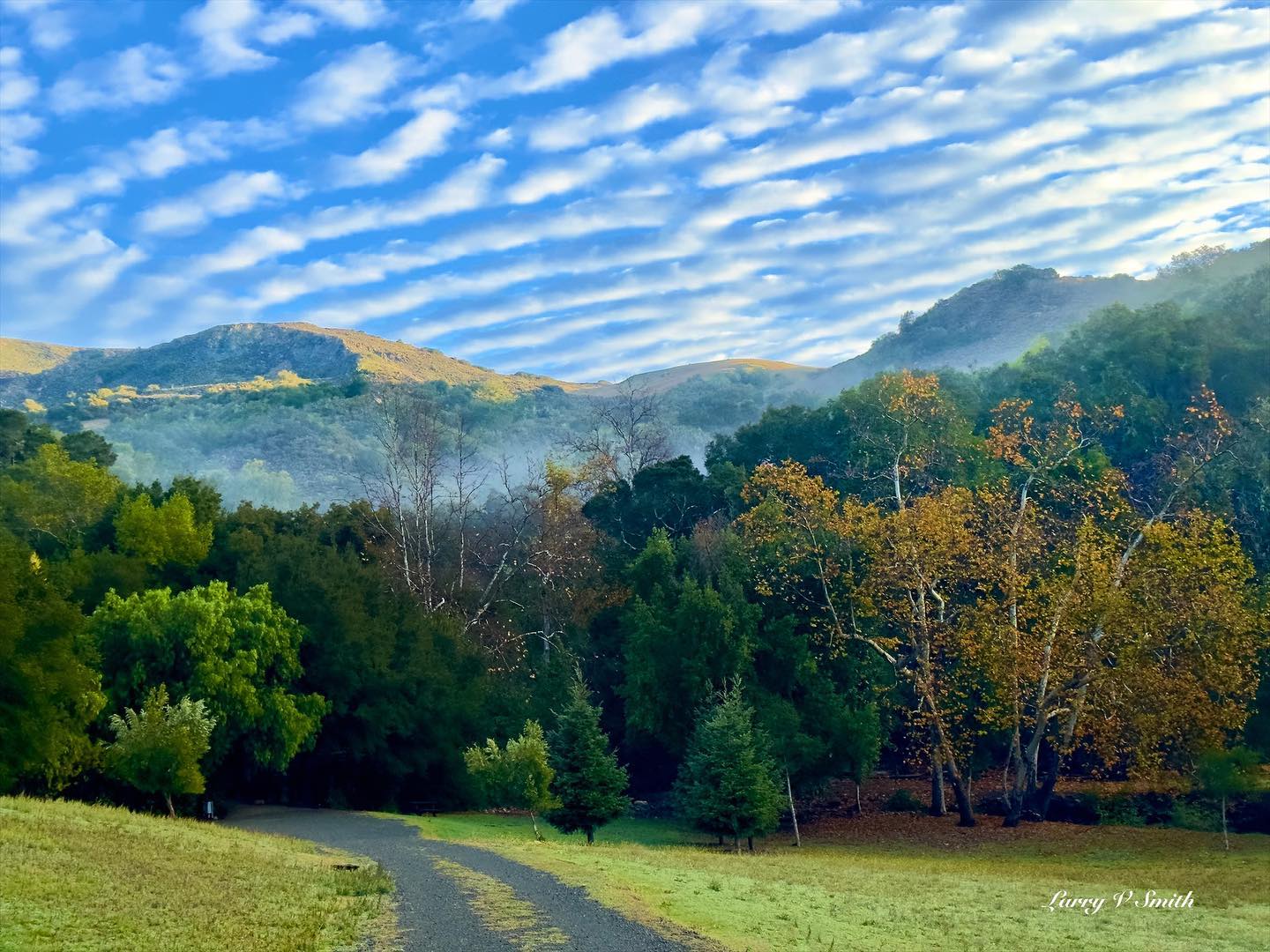 The departing storms leave a landscape washed and groomed like a mother dresses her child for the first day of school. This short drive down to the cabin is usually guarded by a flock of wild turkeys and occasional deer.