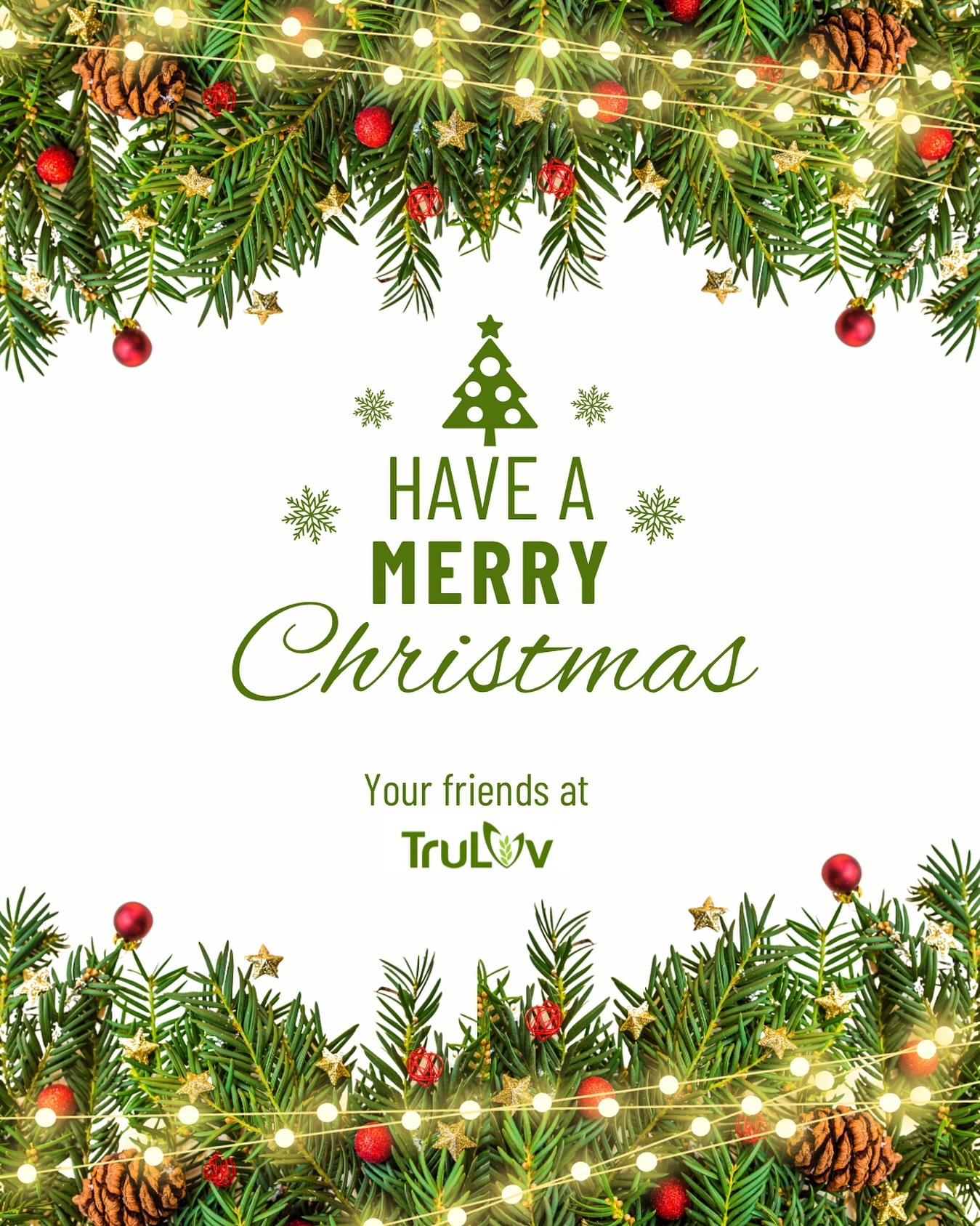 Wishing our amazing customers, supporters & partners who celebrate today a merry Christmas! 🎄 Your trust and support mean the world to us.
💚
💚
💚
#MerryChristmas #ThankYou #MadeInEthiopia #EthiopianProducts #SupportLocal #EthiopianCulture #HolidaySeason #Ethiopian