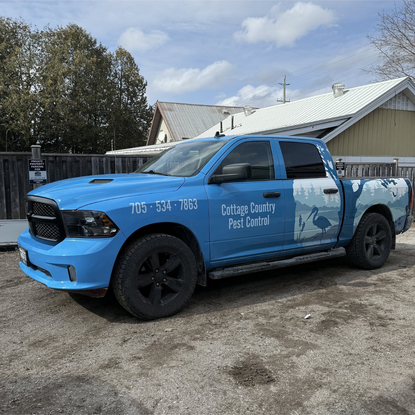 A quick throwback to this full colour change truck wrap we did for Cottage Country Pest Control last year.
#vehiclegraphics #vehiclewraps #vinylwrap #shoplocalmidlandontario #shoplocalcanada
