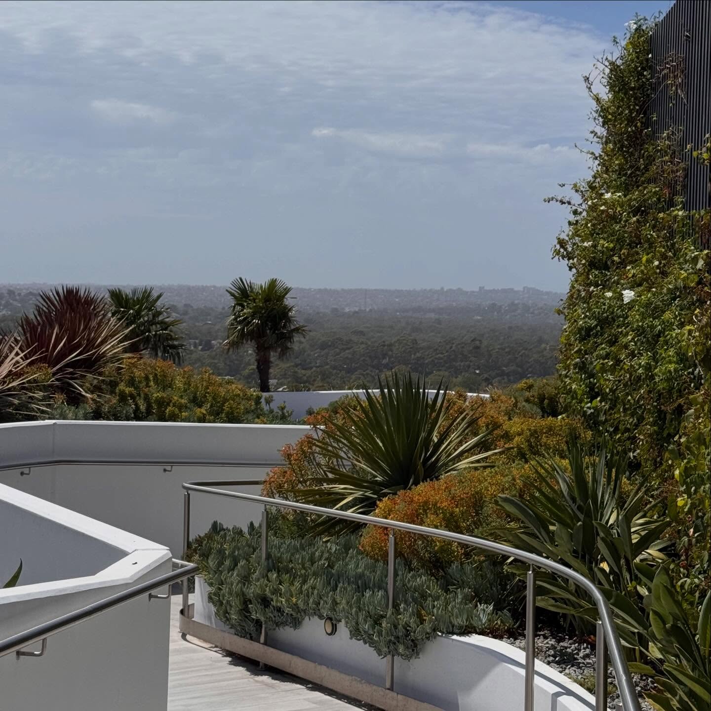 The view from up here.
#gardenmaintenance #melbourne #horticulture #gardening #summer