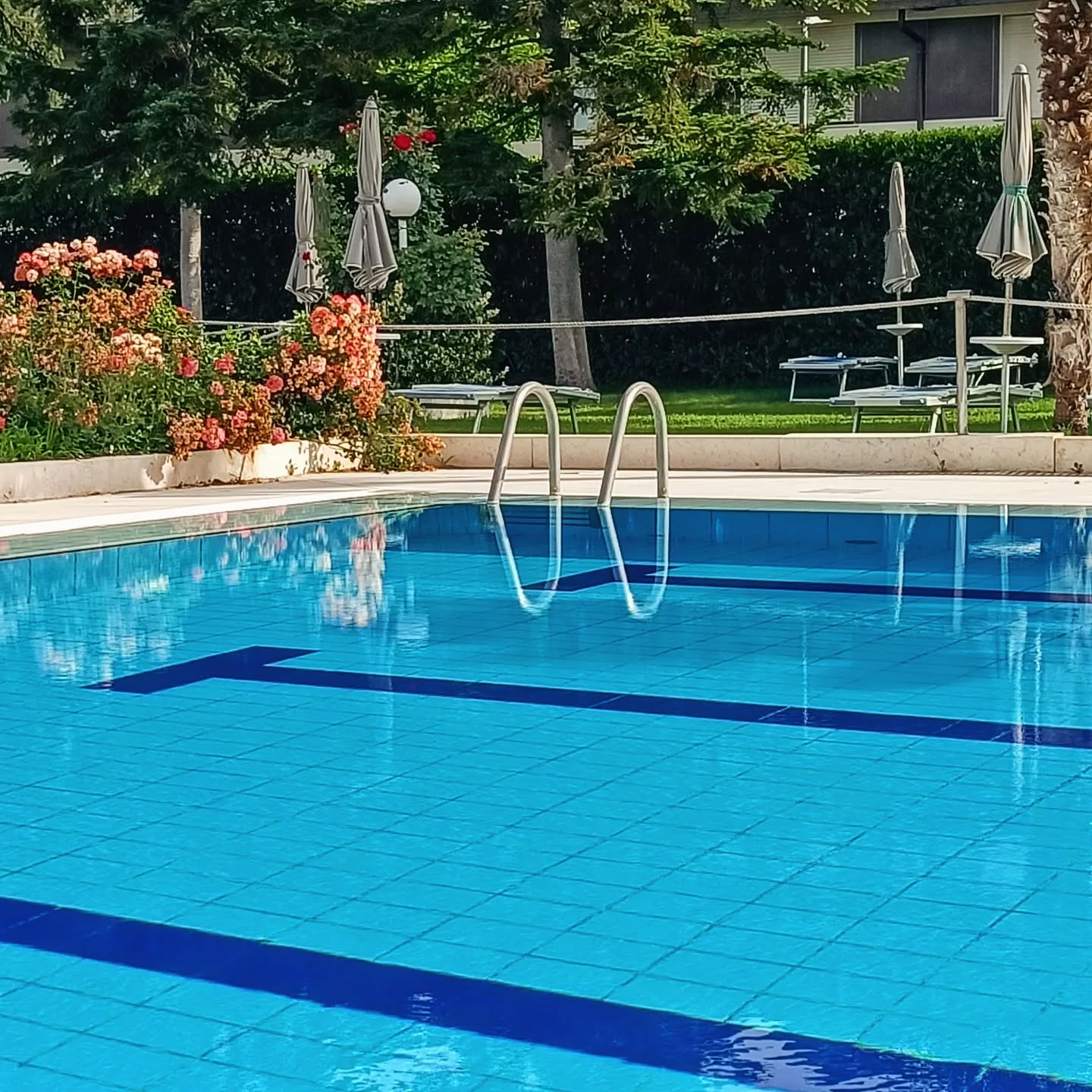 Per tanti la fine delle scuole vuol dire una cosa sola: scatenate l̶'̶i̶n̶f̶e̶r̶n̶o̶ l'estate!
Genitori, bambini, ragazzi...TUTTI... venite a trascorrere la vostra #estate alle #piscinegreenclub 👙💦 Vi aspettano relax, divertimento e buona compagnia. Siamo aperti tutti i giorni dalle 9.30 alle 19.30 👉 prenotazione consigliata sul ns sito web www.piscingreenclub.it
.
.
.
#piscinegreenclub
#piscinaamodena
#piscinaestiva #estate2024 #estateinpiscina #estateitaliana #estateincittà #summervibes #summer2024