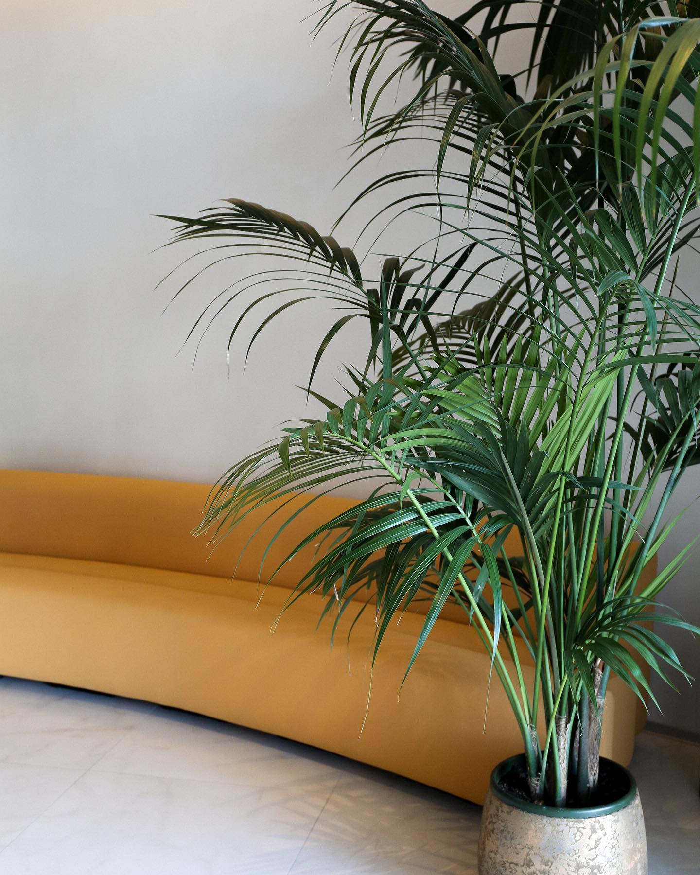 Glamour never bores 🛋️
📍 via Dante 22, Nova Milanese (MB)
📞 0362 1637582
✉️ info@elitishouse.it
#elitishouse #spa #monza #monzabrianza #novamilanese #centrobenessere #hotelmilano