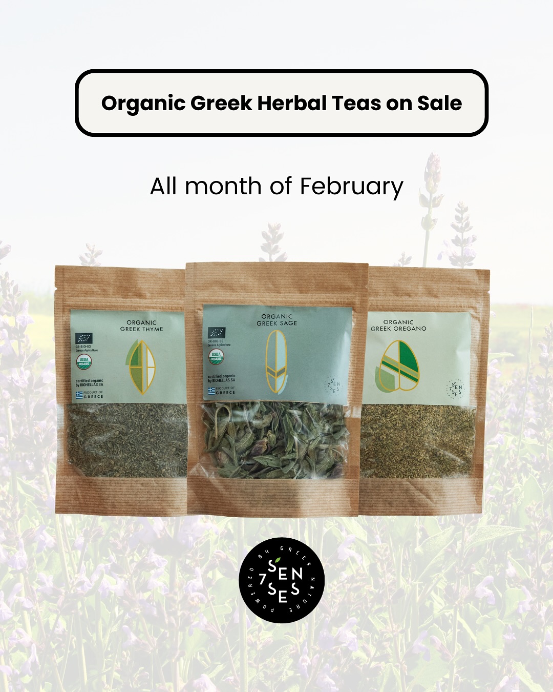 Our Gift for you, February is for love & wellness 🌿
Enjoy 20% OFF our Thyme, Sage, Oregano doypacks all month long.
Sustainably grown, hand-harvested in Greece, and packed with flavor and tradition.
✨ Only available on our website
👉 Shop now at Seven Senses Organic