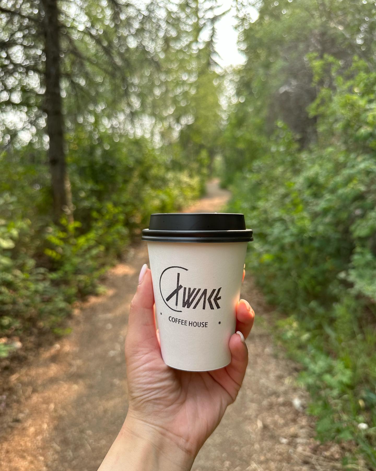 ✍️ There was a bench on the cliff overlooking the river.
At that bench I sat and listened to the cicadas sing. On a whim I wrote a verse called ‘cicadas at dusk’:
Like the cicadas that excavate this earth
You leave tracks where we tend
Knowing I can only see them
When I can see cicadas in the forest.
—
Fun fact: cicadas can live for almost two decades and spend most of their lives buried within the earth. They don’t emerge out of the soil until they have only about one month to live.
So next time you see a cicada you’ll know it’s lived a long while and it’s on its way out now.
It’s such a mindfuck that you can only ever hear cicada’s song at the end of its life. 🪰
.
.
.
.
.
#funfact #freewrite #writersofinstagram #poetrycommunity #poems #writing #writer #writerscommunity #writersofig #cicada #nature #forestphotography #coffee #hiking #naturelover #coffeegram #coffeesesh #writeaway #coffeetime #coffeephotography.