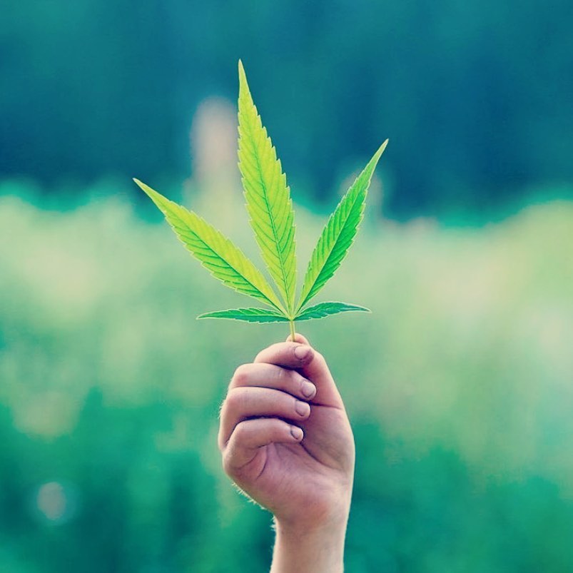 What is the difference between CBD full spectrum and CBD isolate? ๐
One of the first questions many people will have when starting to research CBD is, โwhat is the difference in full spectrum CBD vs CBD isolate?โ
Simply put, full spectrum CBD contains more cannabinoids than just CBD. Full spectrum CBD oil will contain other cannabinoids, such as: CBG, CBN, CBC, as well as trace amounts of THC.
All of these cannabinoids have their own unique therapeutic or medicinal benefits. They also work together in harmony, creating what has been coined as the โentourage effect.โ
CBD isolate on the other hand is, just CBD. During the extraction process this cannabinoid is isolated, so there are no other cannabinoids present, not even THC.
โ#cbd #cannabis #hemp #cbdoil #thc #cannabiscommunity #cbdfullspectrum #cbdisolate #cbdhealth #cbdlife #cannabisculture #cbdheals #cbdmovement #cbdproducts #hempoil #organic #health #hightimes #wellness #cbdflowers #life #cannabidiol #cbdcommunity #dropoflife #planttrees #seeds #dropoflifecbd #dropoflife #lovelife #cbdisolate #naturalpainrelief