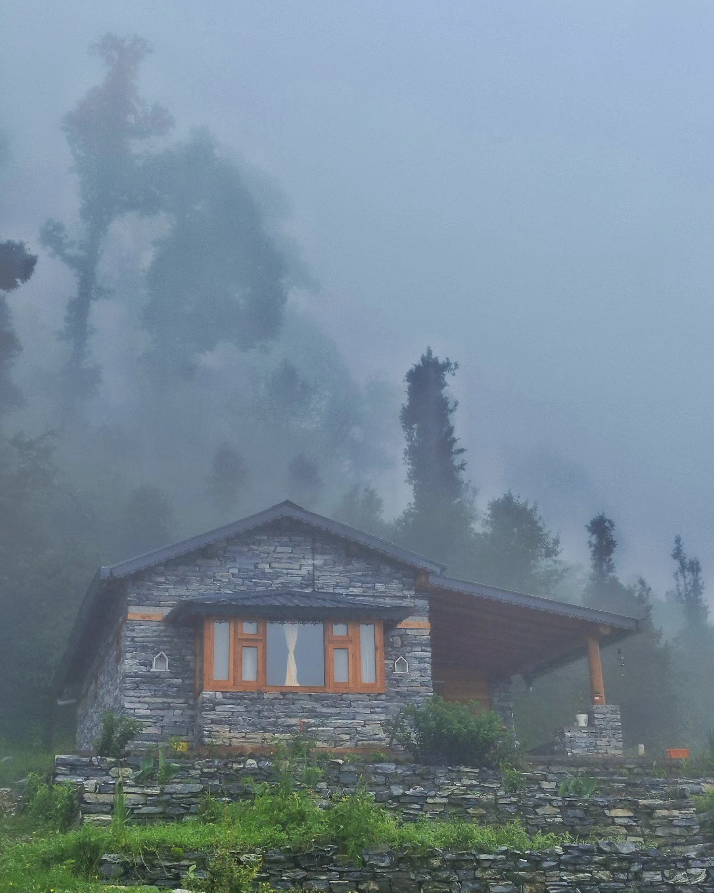 रुकी रुकी सी है बरसात ख़ुश्क है सावन
ये और बात कि मौसम यही नुमू का है
जुनैद हज़ीं लारी
#himvanliti #uttarakhand #himalayas #monsoon #holiday #home #ecoretreat #junglelife #solitude #travelgram #green #woods #rainyday #peace #jungle #instagram