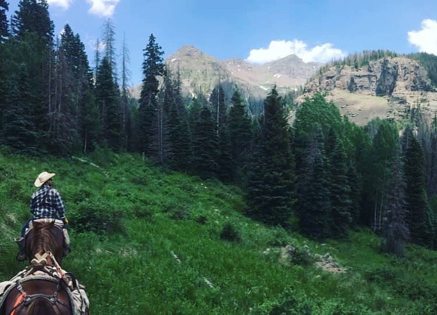 (Picture taken by lee P)