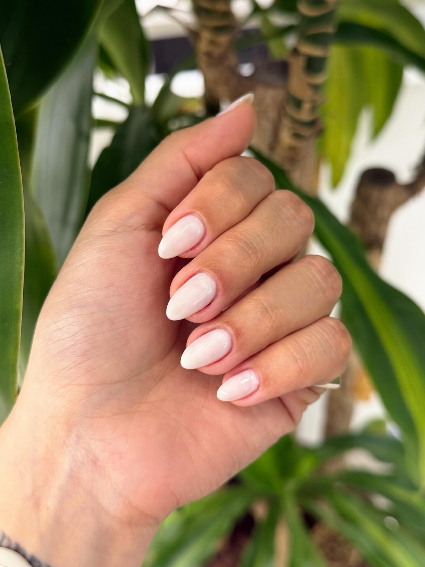 Delicadeza que nunca sai de moda!! 🤍✨
Esmaltação em gel..
Por: @iliana_naildesign
#unhas #unhanatural #esmaltacaoemgel❤️