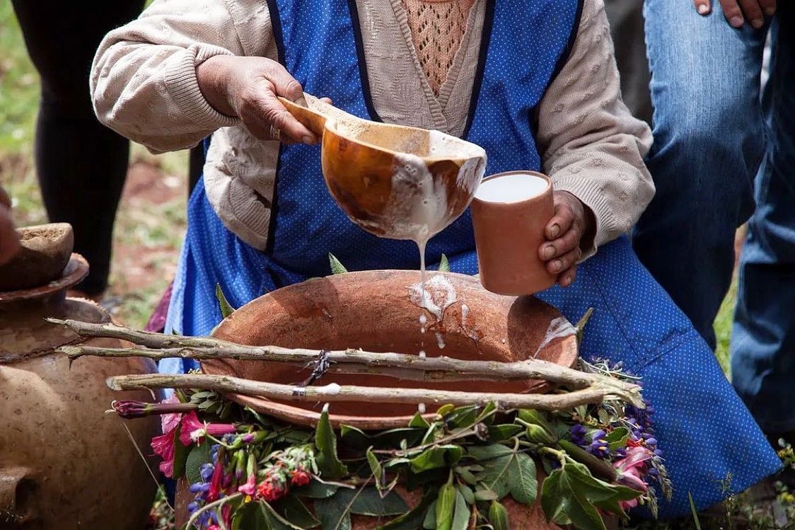 Love this from @new_worlder
•
What if every person brewing kombucha around Latin America - there must be thousands at this point – started to experiment with traditional fermented beverages like chicha, mudai, and masato instead? What might come of it? Think about that.
Today’s guide to Chichas and other fermented beverages of the Americas on the newsletter breaks down the full breadth of drinks like chicha de jora, aluá, chicha de pejibaye and includes general preparations for each one. The bulk of the post of for paid subscribers only, however, there is a 35 % discount for the rest of the month for annual subscriptions! So it’s less than $25 for a full year of content instead of $40. And you get access to all paid content: Restaurant guides, recipes, and more. 📷 @nicholasgill2