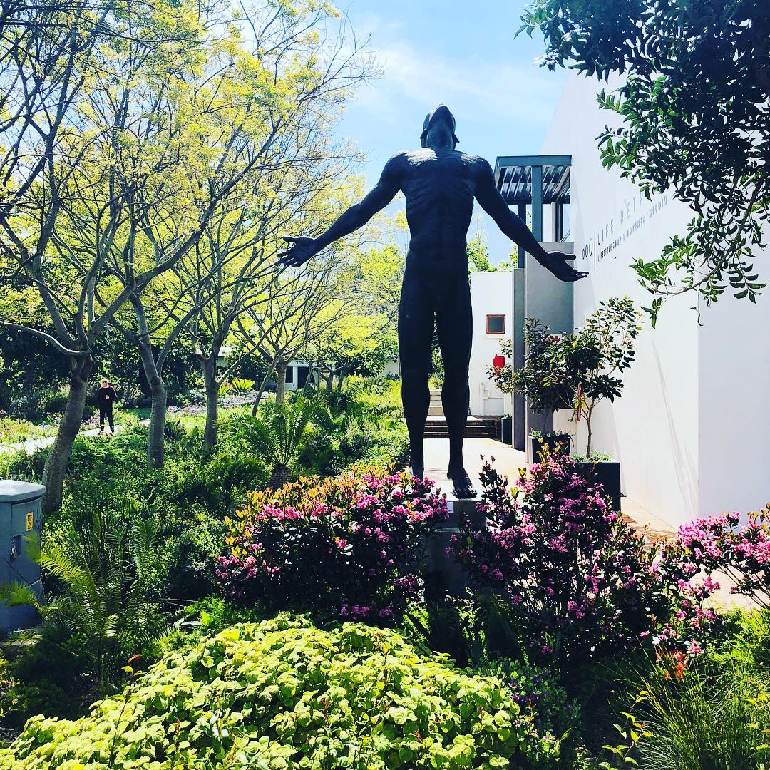 Male statue #malebeauty #lourensford #beautiful