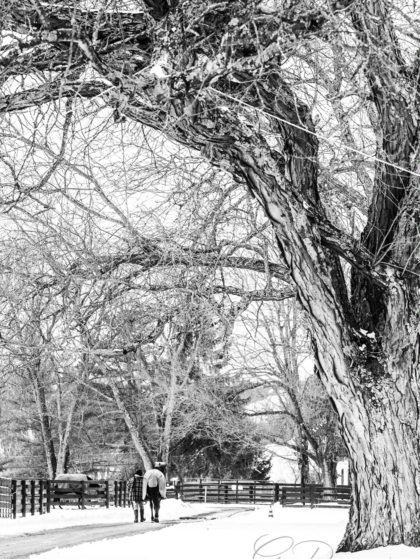 6 more weeks of THIS? No thanks.