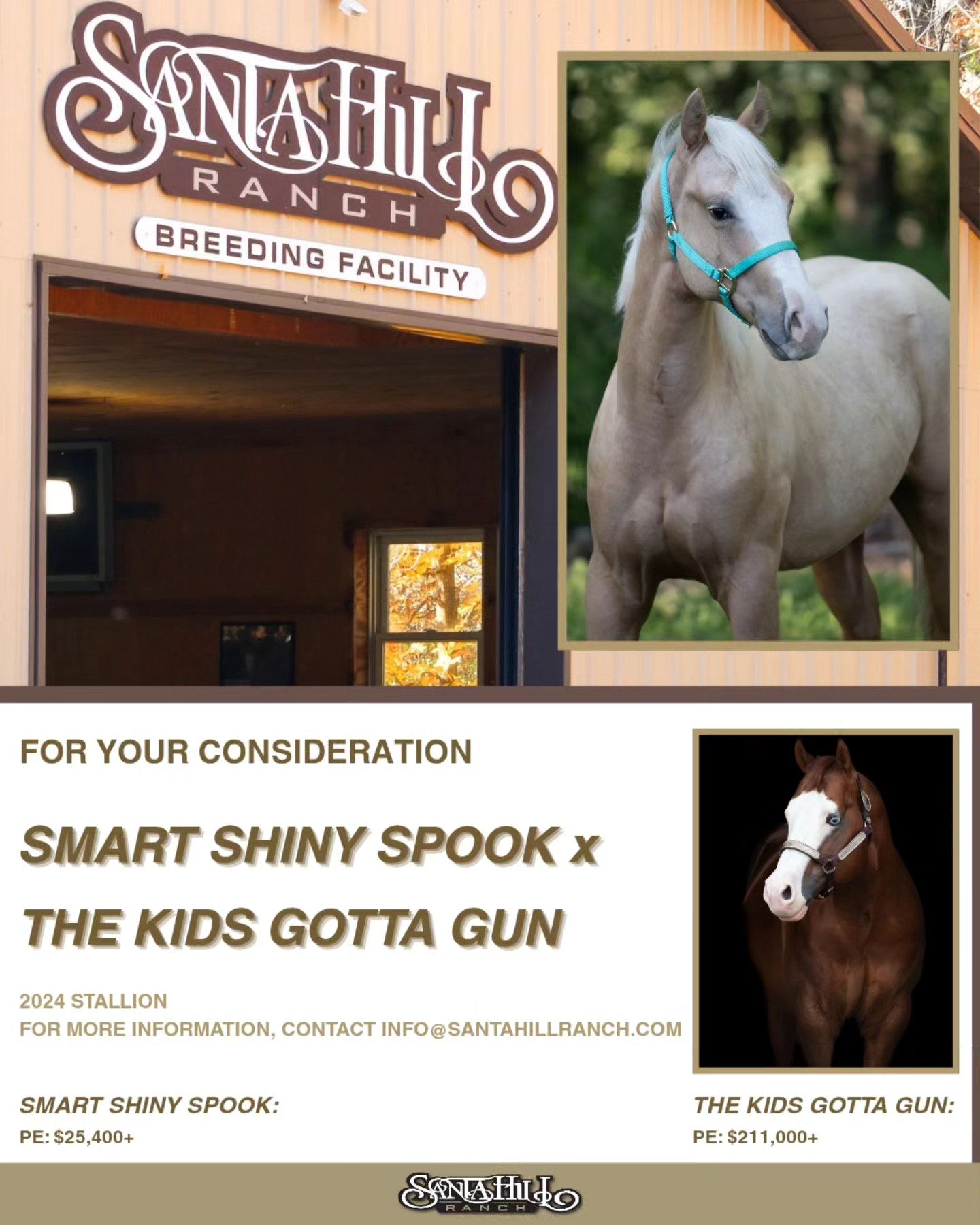 ‼️For your consideration‼️
🌟SMART SHINY SPOOK x THE KIDS GOTTA GUN🌟
2024 Stallion
Contact the Santa Hill Ranch - Breeding Facility for additional information.
#nrha #NRHAReining #yearling #colt #stallion