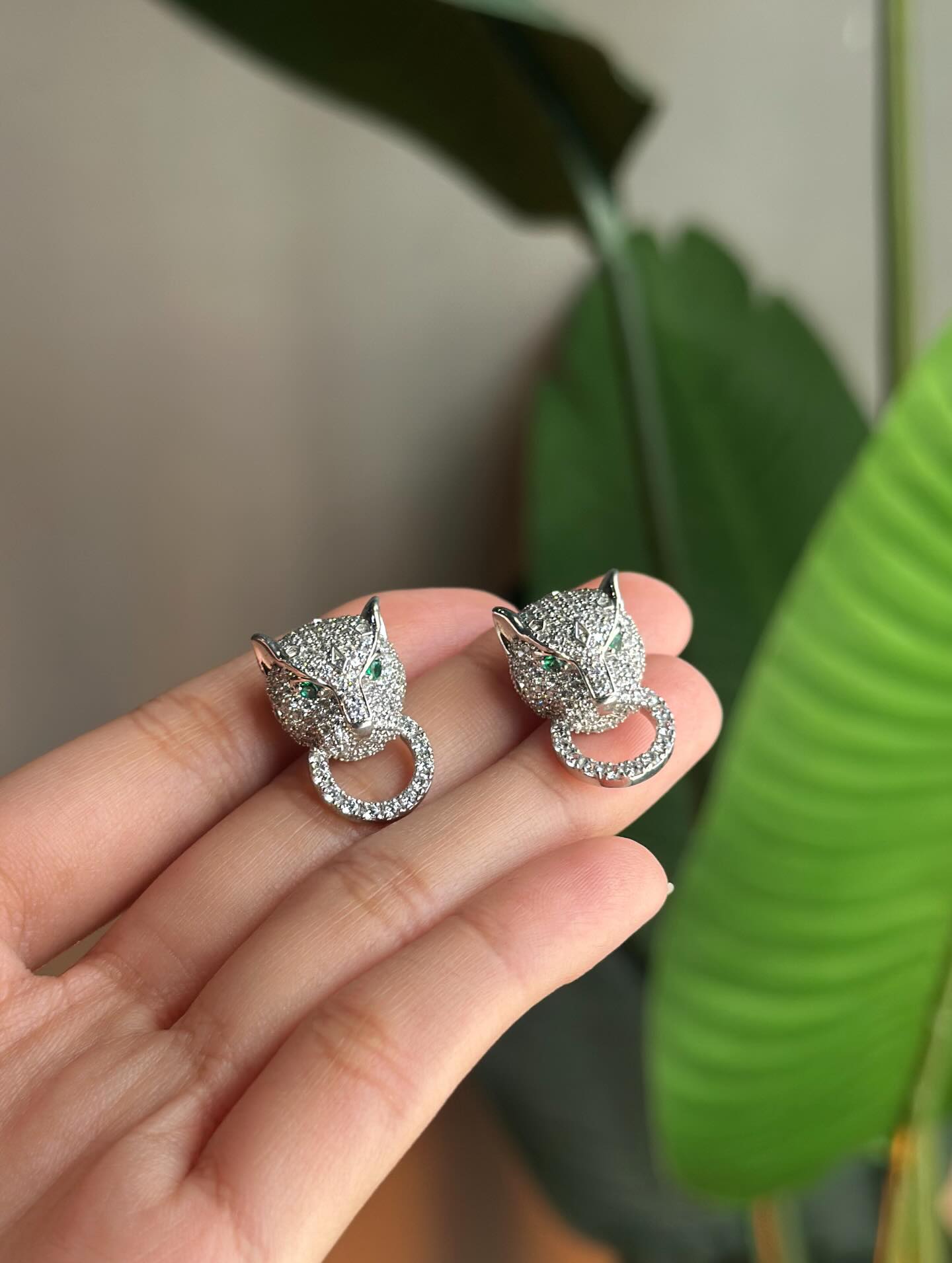 ខ្លាច្បាស់ថាខ្លា មិនមែនឆ្មា