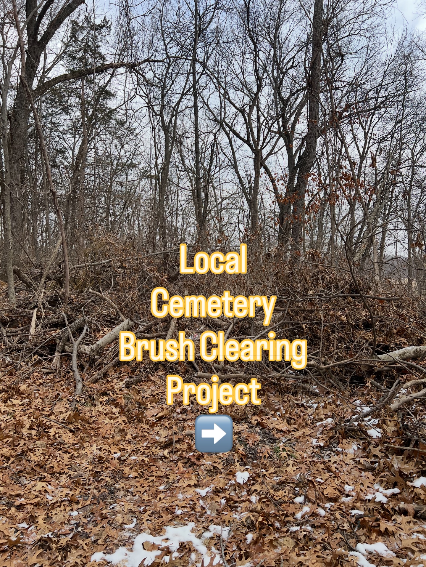 Phase 1 of brush clearing for a local cemetery in Spring Valley,IL. We mulched all brush piles down to the ground and pushed back the field edge for easier future maintenance. We will continue to monitor this site and maintain as needed to help create another beautiful space for our community.
