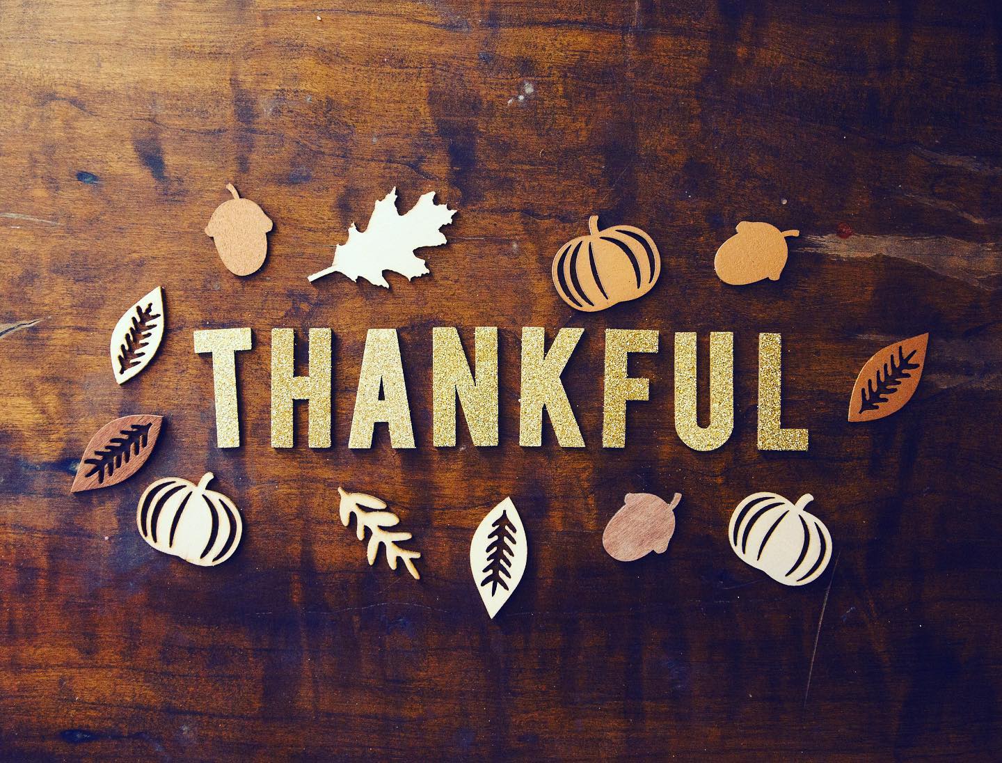 The things we are grateful for: good health, a handful of close friends & family to spend the holidays with. Hope you all are cherishing these precious moments together, eating well and finding stellar shopping deals too! Be safe and stay healthy. HAPPY THANKSGIVING! 🦃🍁🌻
.
.
.
.
.
#thanksgiving #blackfriday #family #friends #food #holiday #2021 #newnormal