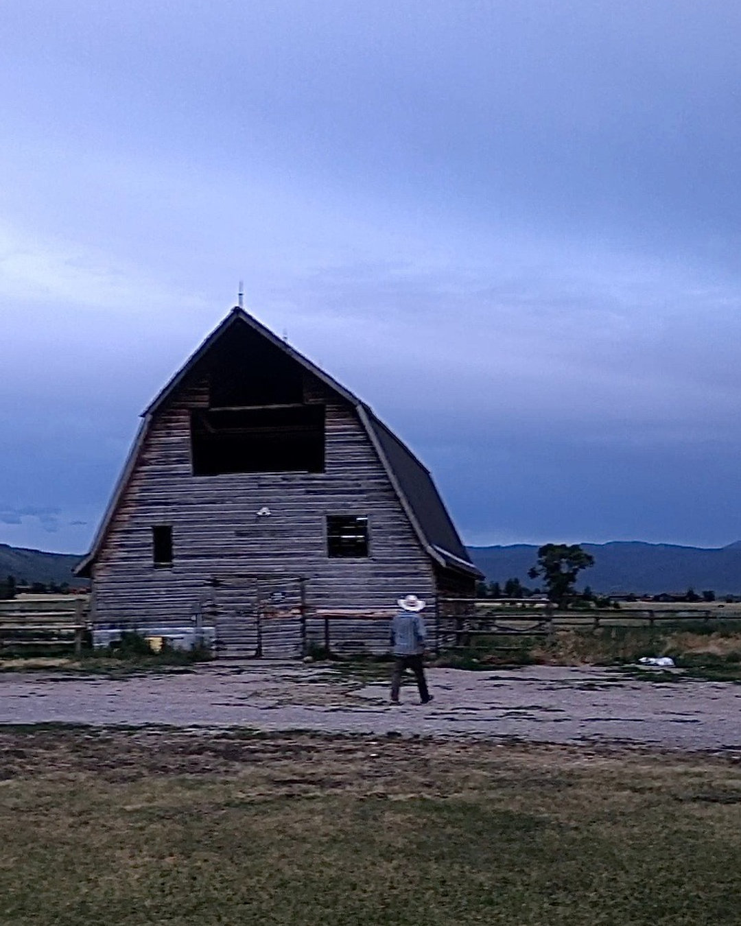 We bought the farm! Read more on our blog, link in bio.
#RegenerativeAgriculture #SmallFarms #HealthySoil #CommunitySupportedAgriculture #SustainableHarvest
#Sustainability #LocallySourced #FreshProduce #EthicalFarming #GreenLiving #ladyfarmer #bossbabe #womeninagriculture #womenfarmers
