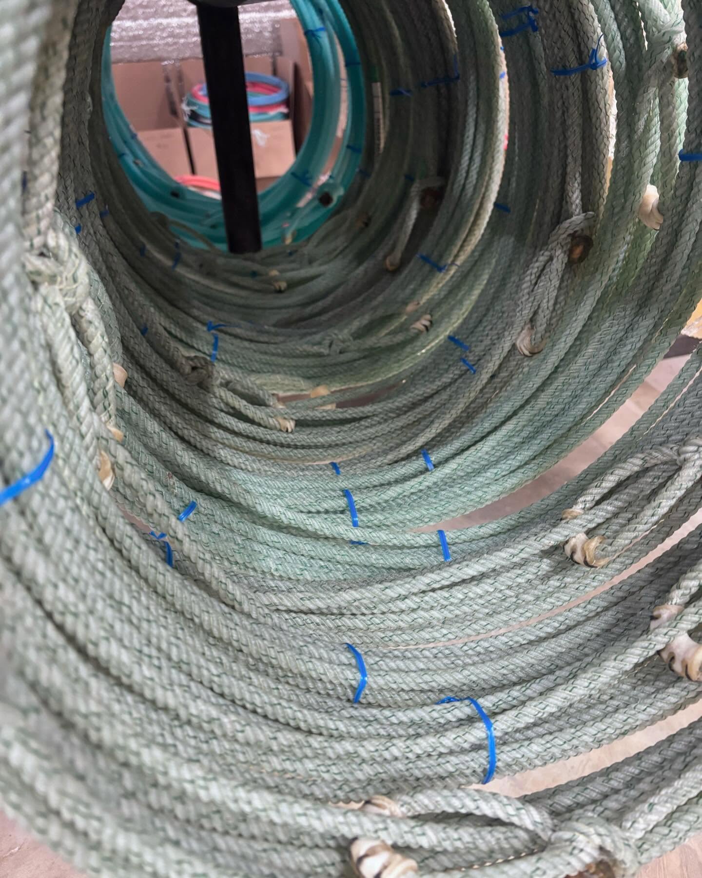 ๐จ Seconds for sale- prices shipped*
1 box of 15 SS/XS 45โ $450 SOLD
1 box of 15 XS/S/MS 45โ $450
1 box of 15 MS/M heel ropes $250 SOLD
1 box of 15 M/HM heel ropes $250 SOLD
1 box of 15 M/HM heel ropes $250
Yall know the drill DM or text me at 832-579-6051