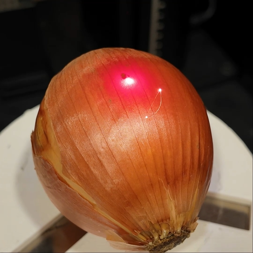 Shrek...on an onion! #layers #laserengraving