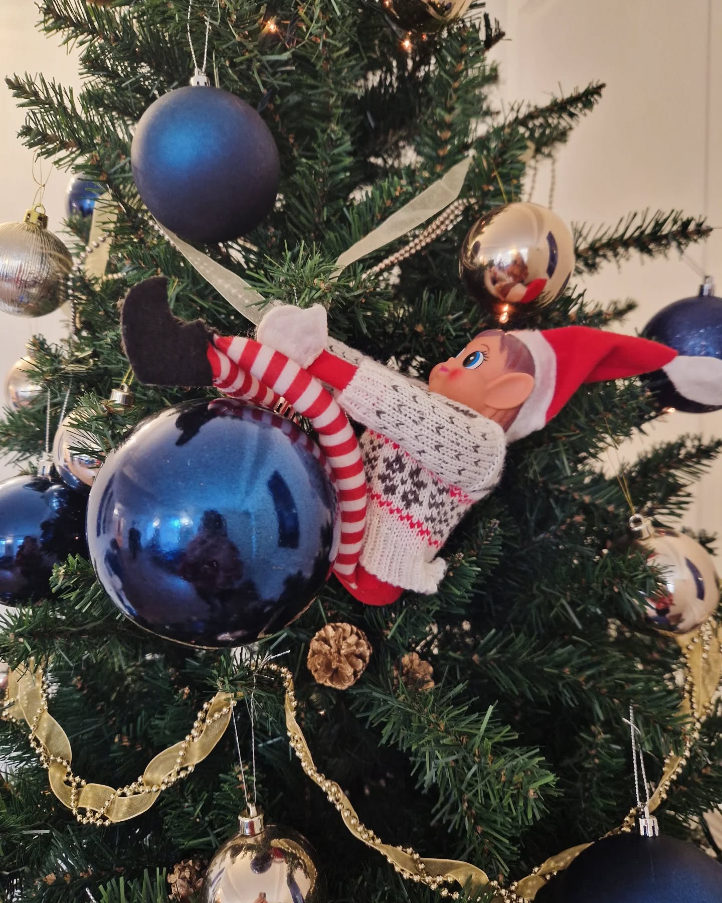 National Christmas Jumper Day -
Floss understood the assignment ✔️✨️