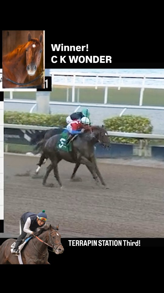 WINNER! C K WONDER returns to the winner's circle after a long layoff with stablemate TERRAPIN STATION helping him along from the back of the pack to grab third! Proud of both of these horses, winning jock @tylergaffalione! Congratulations to owner Mark Stanley and great job team!