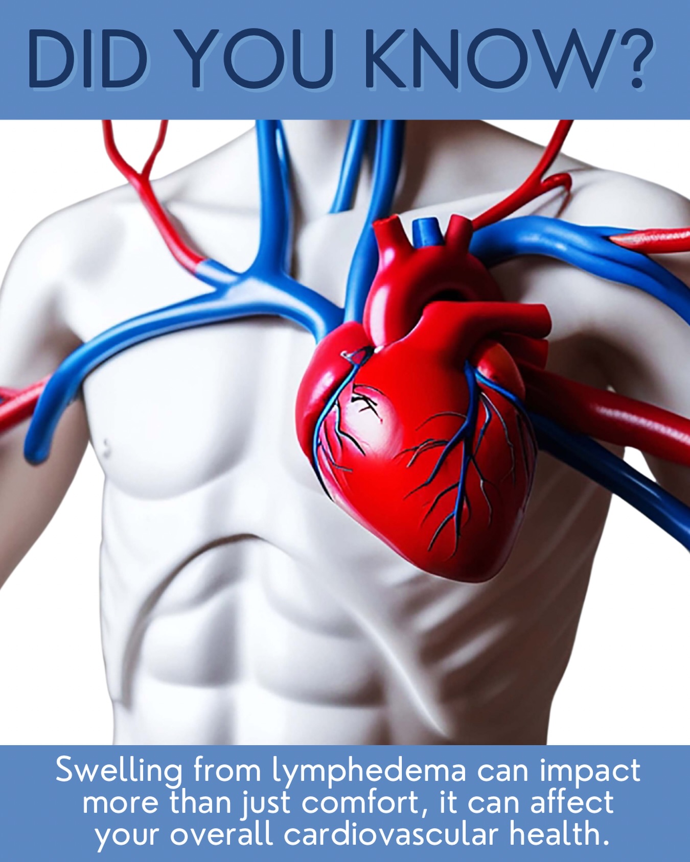 February is Cardiovascular Awareness Month, a perfect reminder that your heart and lymphatic system work closely together. 💙
When lymphedema causes chronic swelling, it doesn’t just affect comfort or appearance. That extra fluid can increase strain on your circulatory system, impact mobility and make it harder for your body to move blood and lymph efficiently.
That’s why managing lymphedema matters, not just for swelling relief, but for your overall cardiovascular health.
Early care, compression, movement and specialized therapy can help support circulation, reduce inflammation, and improve quality of life.
If you’re noticing persistent swelling, heaviness, or skin changes, don’t wait. Your heart, and your body, deserve support.
Call to today to schedule an evaluation 📲 561-768-9984
#CardiovascularAwarenessMonth #LymphedemaAwareness #HeartHealth #LymphaticHealth #SwellingRelief