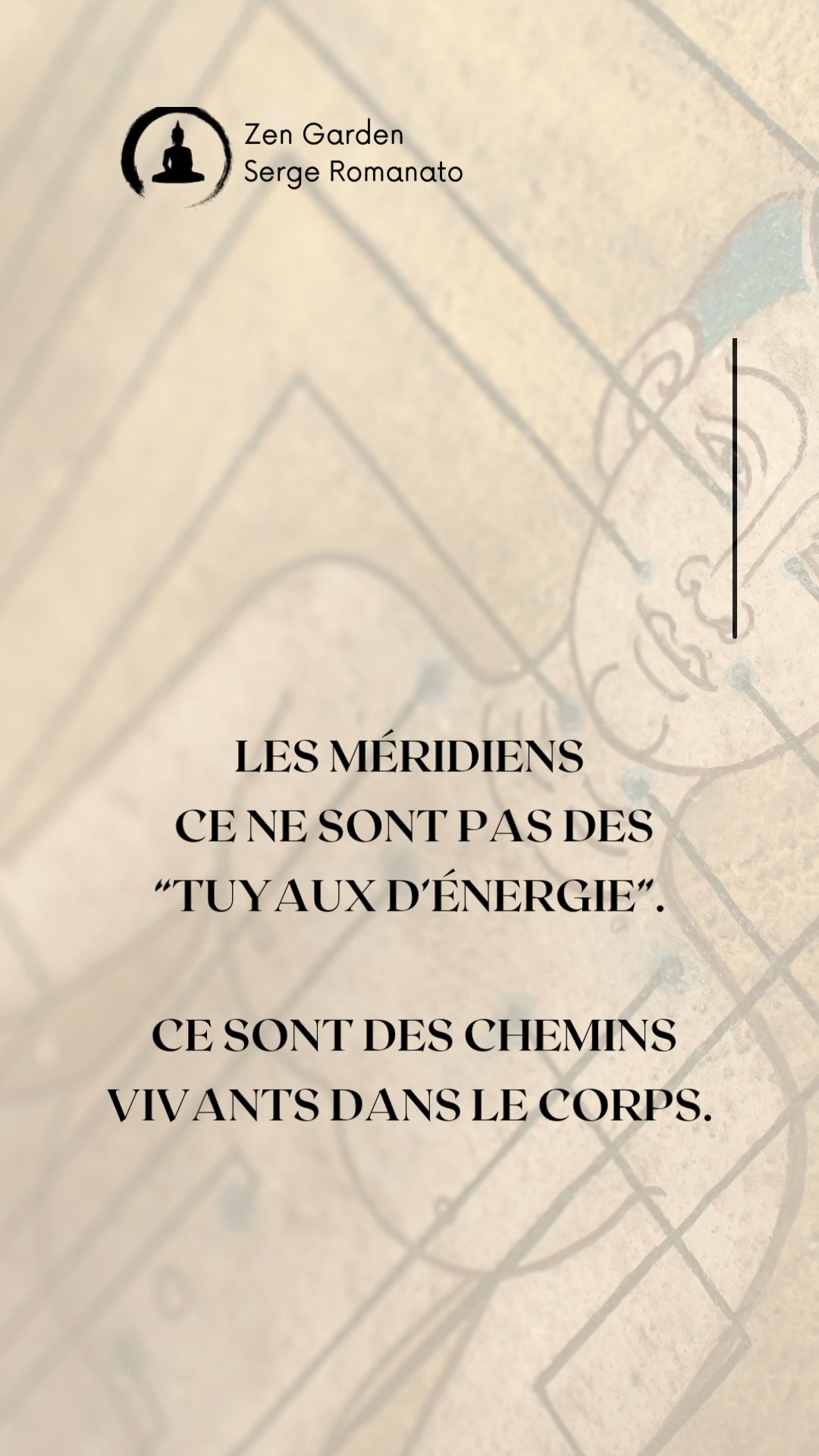 Les méridiens
Ce ne sont pas des “tuyaux d’énergie”.
Ce sont des chemins vivants dans le corps.
Un méridien, c’est l’endroit où le Qi, le sang, la chaleur, la lymphe et les informations nerveuses circulent ensemble.
Ils ne sont pas visibles comme des veines.
Ils se sentent.
Ils se testent.
Ils réagissent.
Ce sont des zones fonctionnelles…pas des structures rigides.
Un méridien, c’est un fascial track : un couloir dans les tissus, où les tensions voyagent, où les émotions laissent une trace, où le mouvement se propage.
Quand un méridien se bloque, tu le sens tout de suite : douleur, raideur, fatigue, irritabilité, digestif lent, sommeil agité…
Le corps parle.
C’est juste nous qui oublions d’écouter.
L’acupuncture, le Qi Gong, le Tui Na, même le brossage à sec… tout cela agit sur le même principe : remettre du mouvement dans ces voies internes.
Les méridiens, ce n’est pas du mystique.
C’est de la biologie en mouvement.
De la mécanique des tissus.
De l’énergie qui cherche son chemin.
Quand les méridiens s’ouvrent, le corps respire, le mental se calme, et la vitalité revient.
C’est ça… le vrai sens de “faire circuler le Qi”.