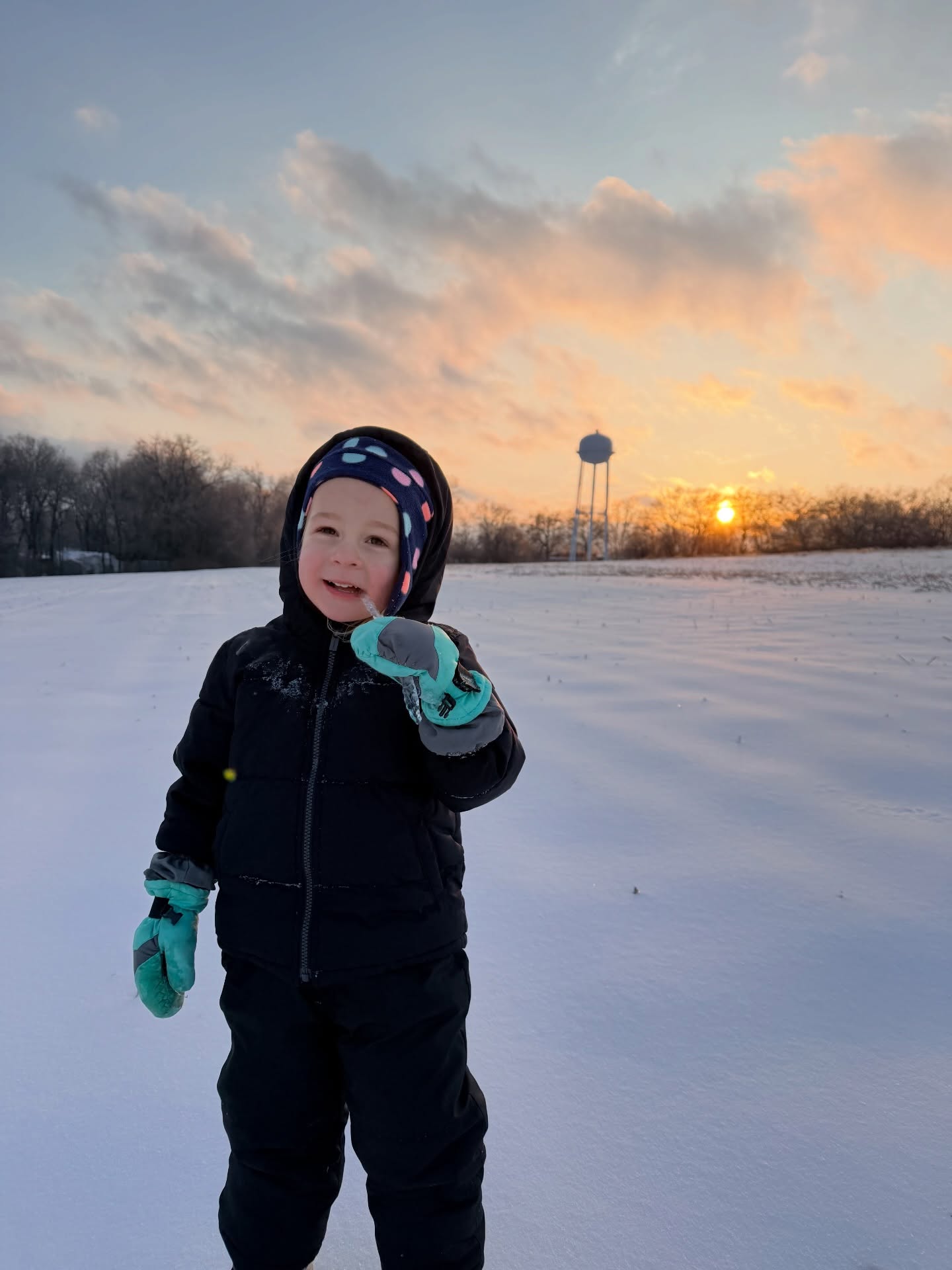 I’ve had my fill of snow and ice. The “Great Melt” begins Monday. Then (hopefully) the season of the spring flowers can begin!
How quickly things warm up will determine exact bloom times but we’re anticipating…
🌼 daffodils reaching full bloom by mid-to-late March and last through early-to-mid-April
🌺 poppies ready for our Memorial Day weekend Poppy Festival (May 22-25) and another weekend or two
As for off-hours photo sessions, when we get closer to the dates, we’ll post times on our online booking system. And we’ll keep posting updates here.
Hang in there y’all, I think the worst of winter is behind us and spring is on the way!
#thegreatmelt #springisnear #springflowers #daffodils #poppies