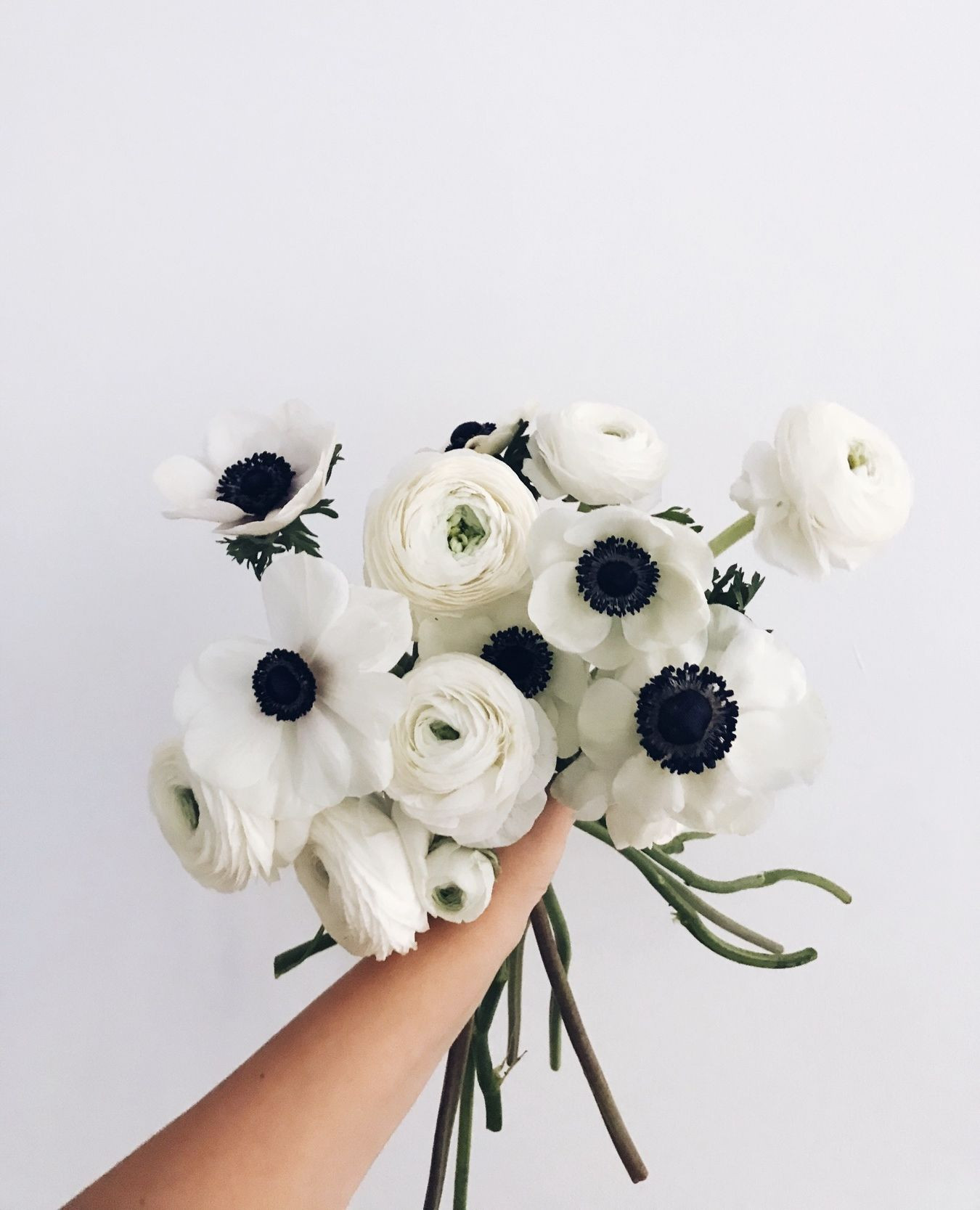 Our heart beats for winter blooms.
Florals: @avenievents