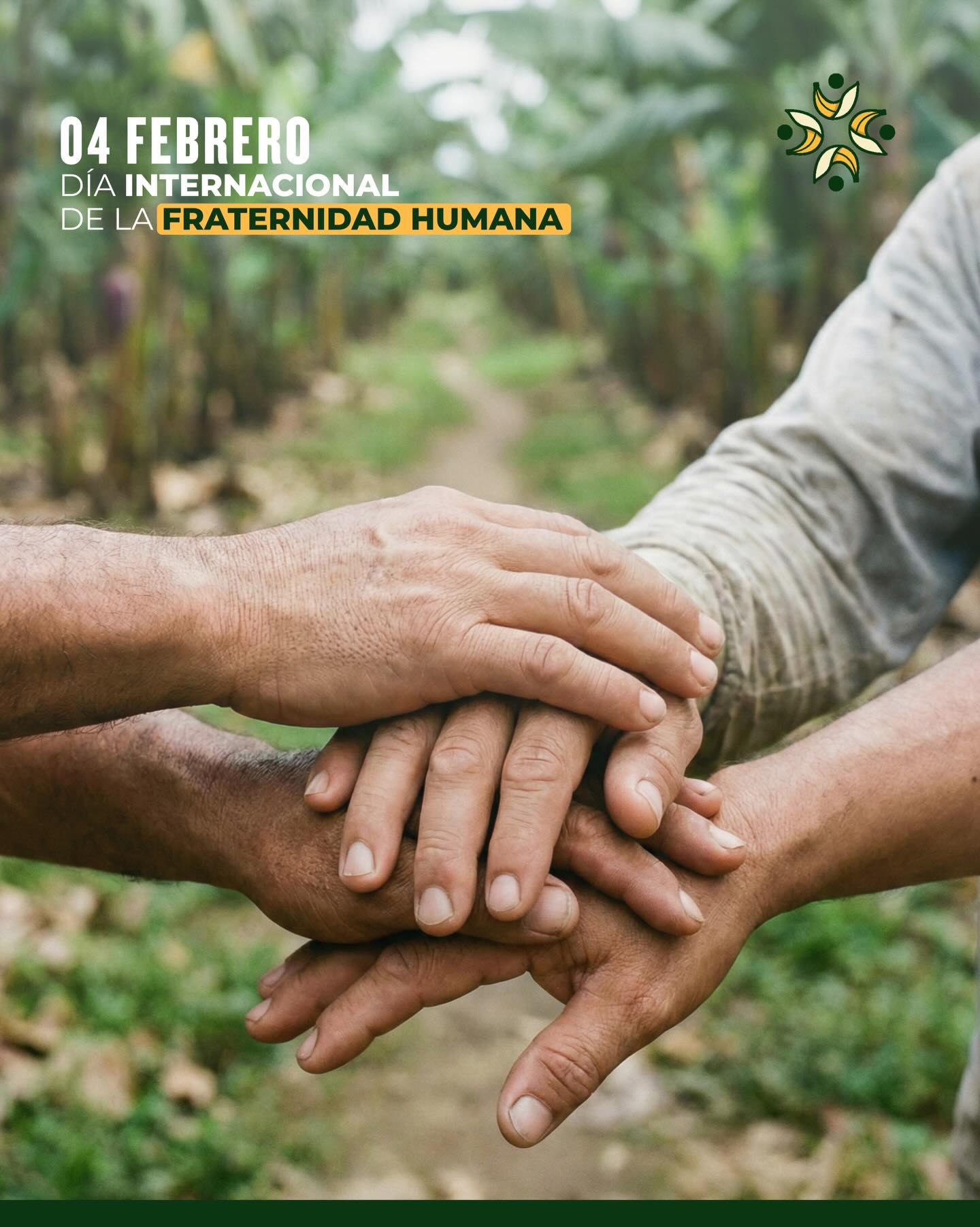 Hoy recordamos que la fraternidad se construye reconociendo nuestra diversidad y fortaleciendo el diálogo, el respeto y la cooperación entre personas, culturas y países. En el sector bananero, estos valores se reflejan cada día en una cadena productiva que une a productores, trabajadores, exportadores, puertos y mercados de todo el mundo.🍌🤝
#Diadelafraternidadhumana #OrgulloAEBE #BananoEcuatoriano