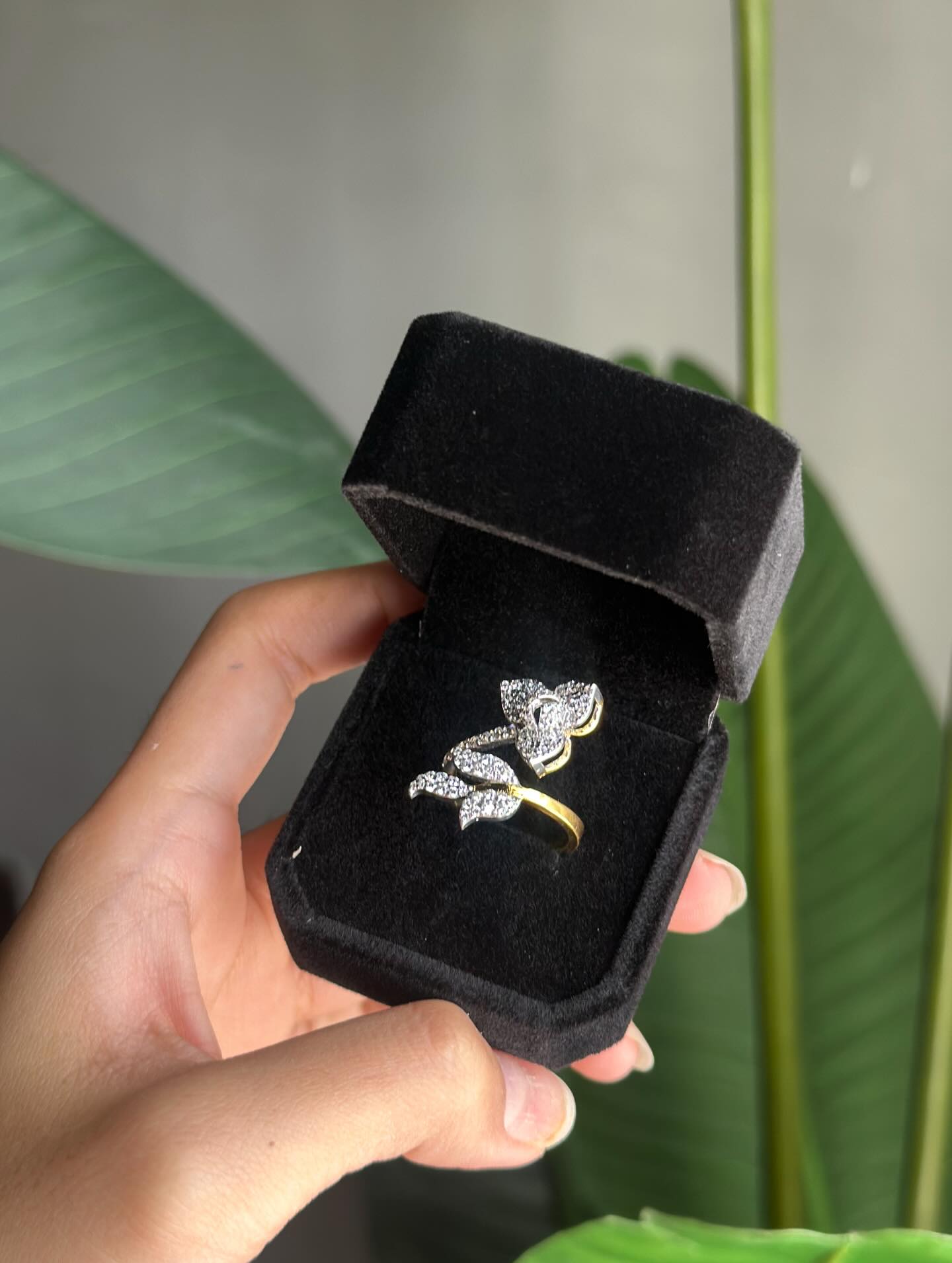 ម៉ូតរំដួល អាចកម្មងបាន