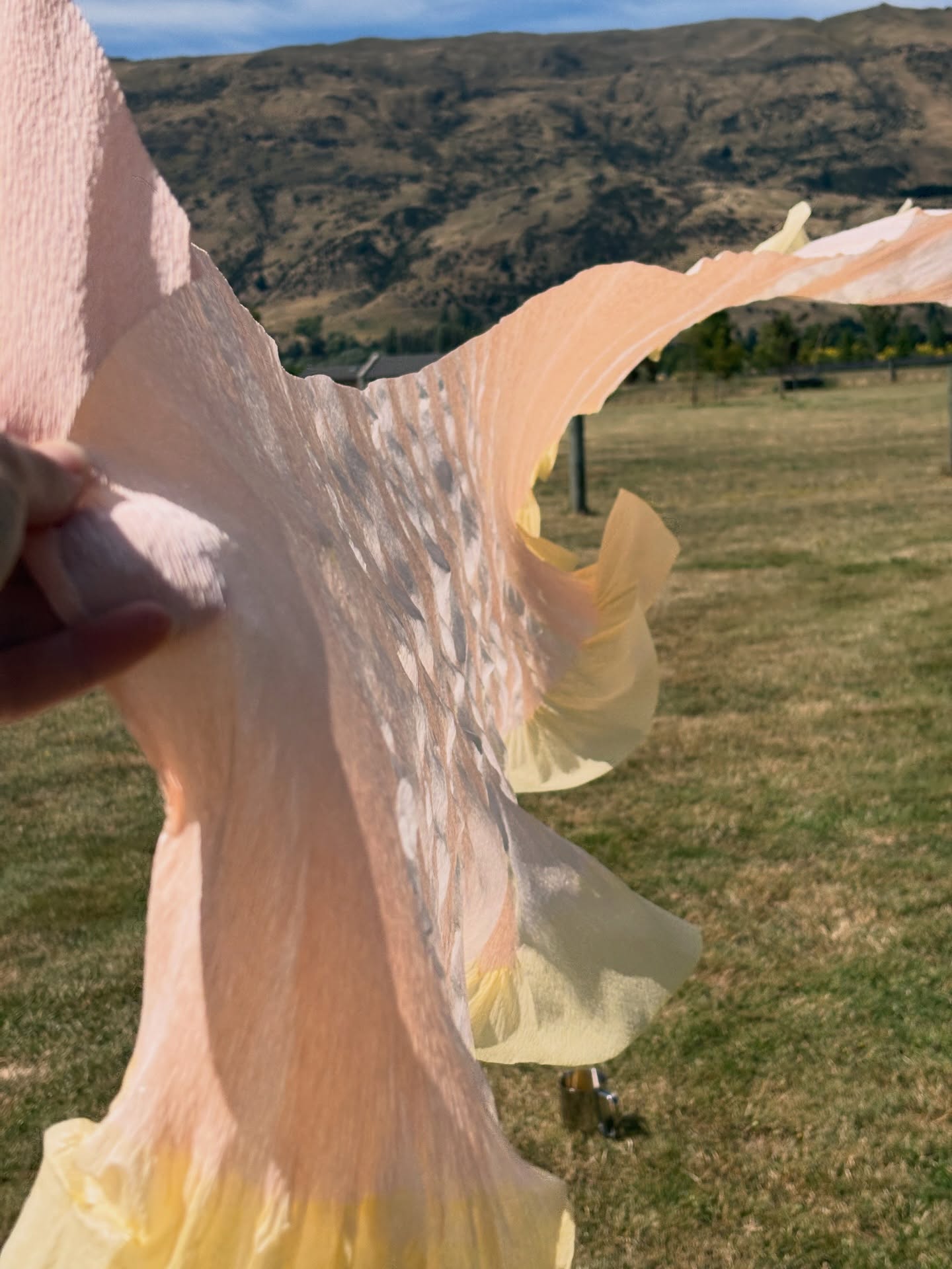 Paper processing. Committing to the dye.