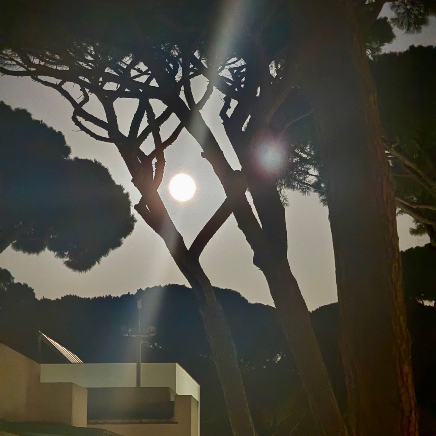 Einmal kurz anhalten, bitte.
Das Leben läuft – schnell, laut, voll.
Und manchmal merken wir gar nicht,
wie wenig wir noch bei uns sind.
Ein neuer Blogartikel über Selbstreflexion,
Überreizung
und das Wieder-Hinsehen.
👆Link in Bio.