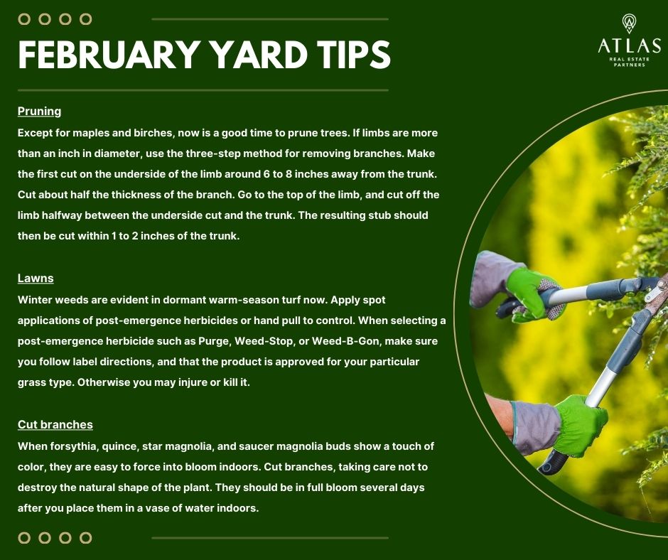 atlas_realestatepartners