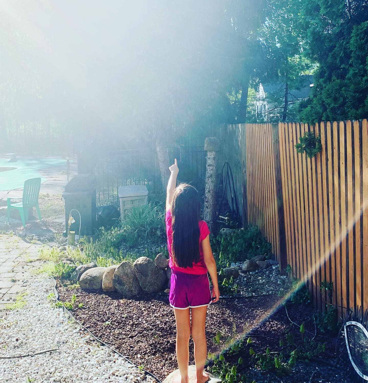 What do you see? A bird in the tree? Our challenges encourage kids to get outdoors and appreciate nature! #environmentaleducation #gooutandplay #outside #placebasedinquiry #learnthroughplay #summerlearning #covidlearning #homeschool #outdooreducation #nochildleftinside #creativity