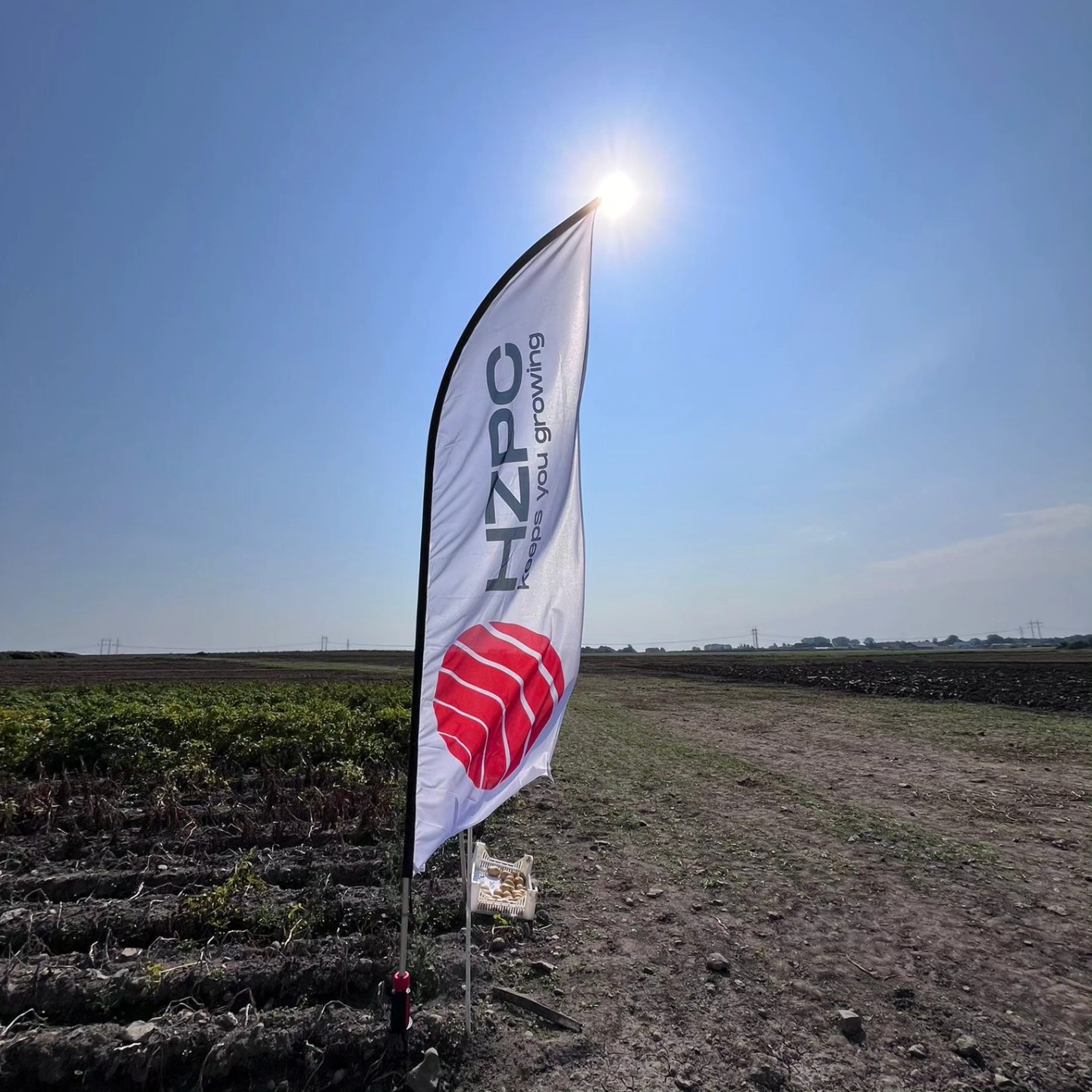 Helteiset Borgebyn peltopäivät keräsivät runsaasti väkeä perunalajikkeiden ympärille. HZPC:lta mukana koekäntällä olivat tänä vuonna Annabelle, Helmi, Colomba ja Sunita. Jauhoinen Helmi kiinnostaa kovasti 👍 ja muutkin lajikkeet saivat mukavasti huomiota osakseen. Tästä on hyvä jatkaa. #peruna #potatis #potato #siemenperuna #fromfinland