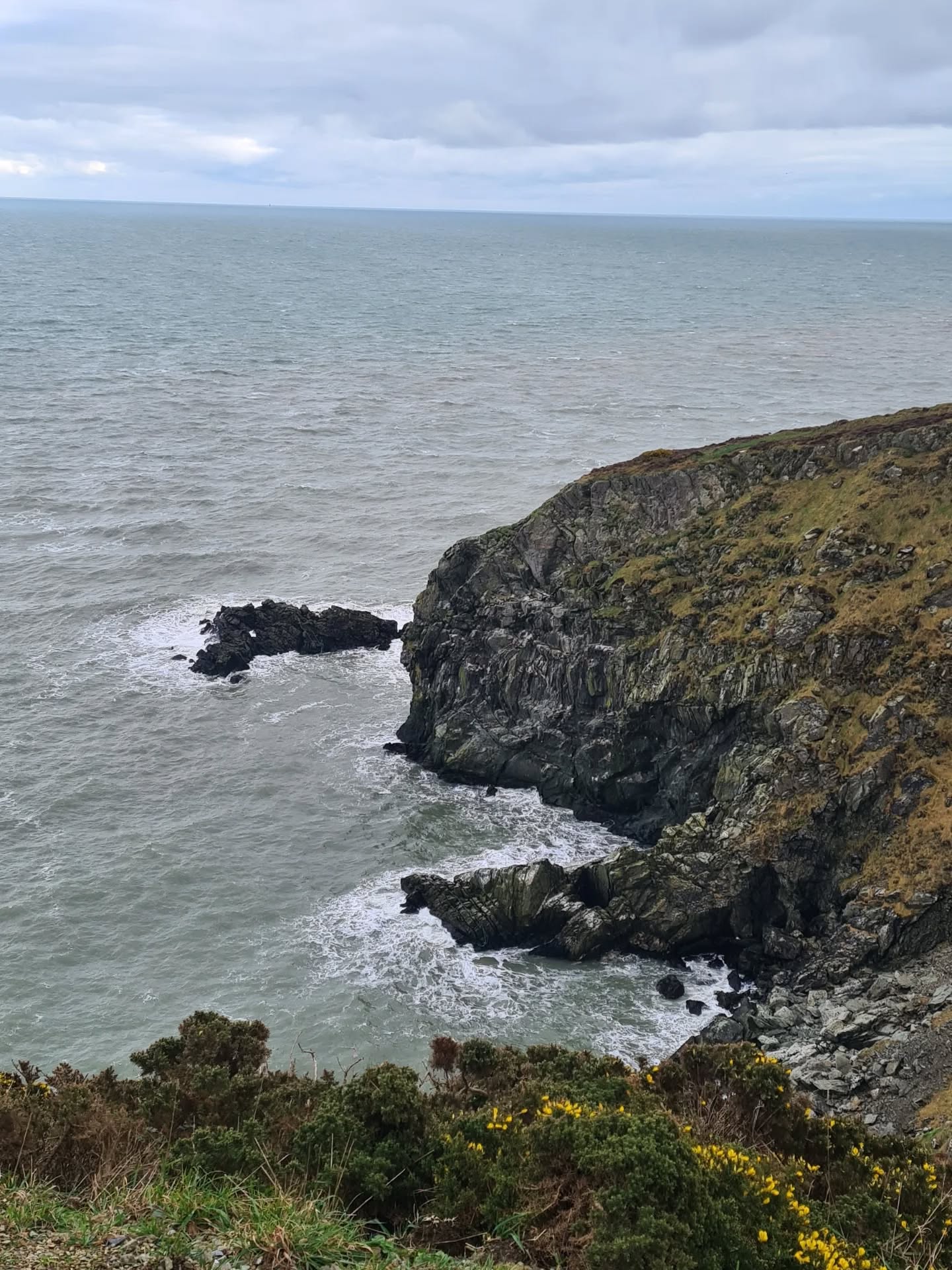 Oysters and a good walk, a nice way to celebrate Saint Brigid's weekend. #ireland #irishheritage #linen #irishlinen