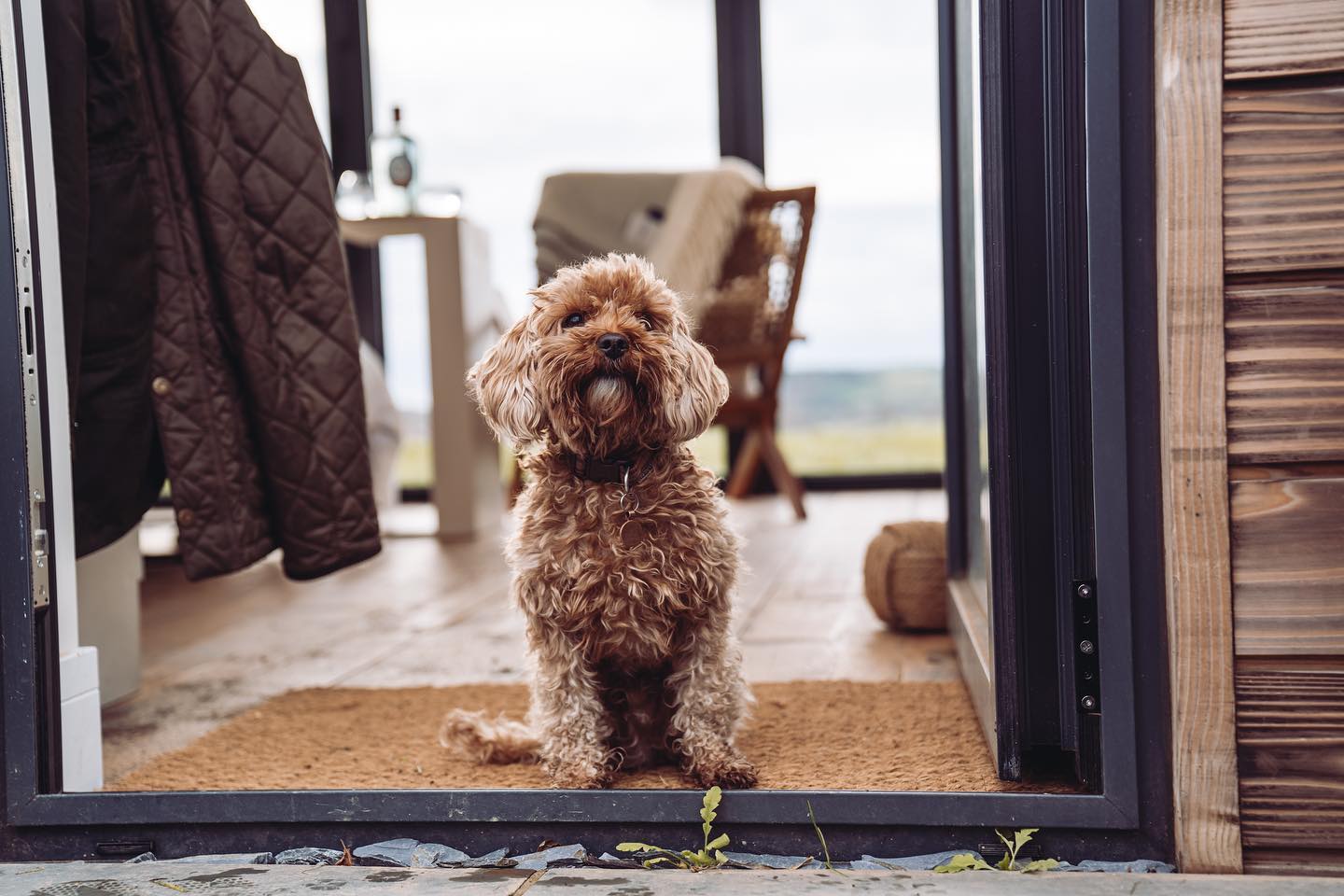 Longdown and Cottlass cabins are pet friendly 🌿
(This is our little dog Freddie who was insistent on being a model for @hwatertonphotography and enjoyed the spotlight rather a lot!)
📷 @hwatertonphotography
#dogsontour #escapetotheland #dogfriendly #cavapoo #cabins #devon #poser