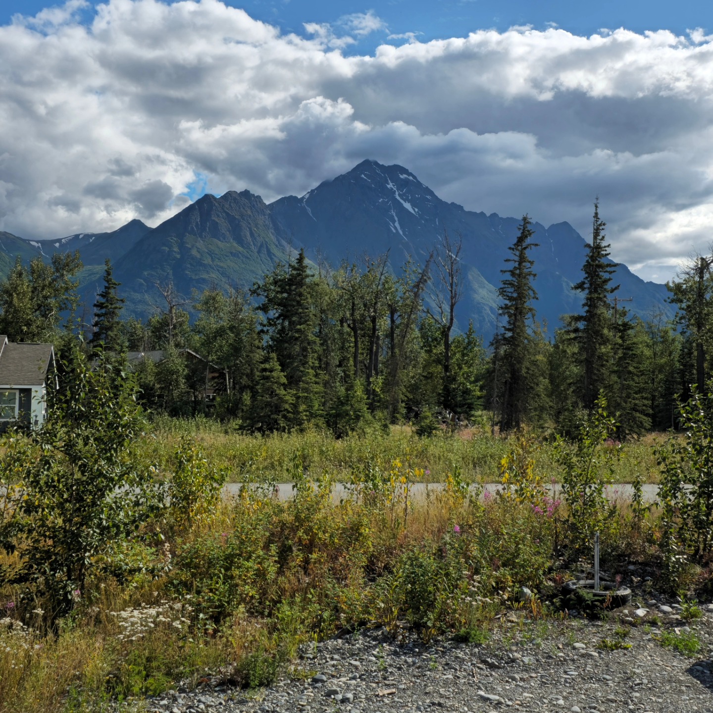 We're taking a break to visit family! ❤️ Please note deliveries and shipping will be delayed until August 5th and 6th if you order this weekend or next week. Thank you!