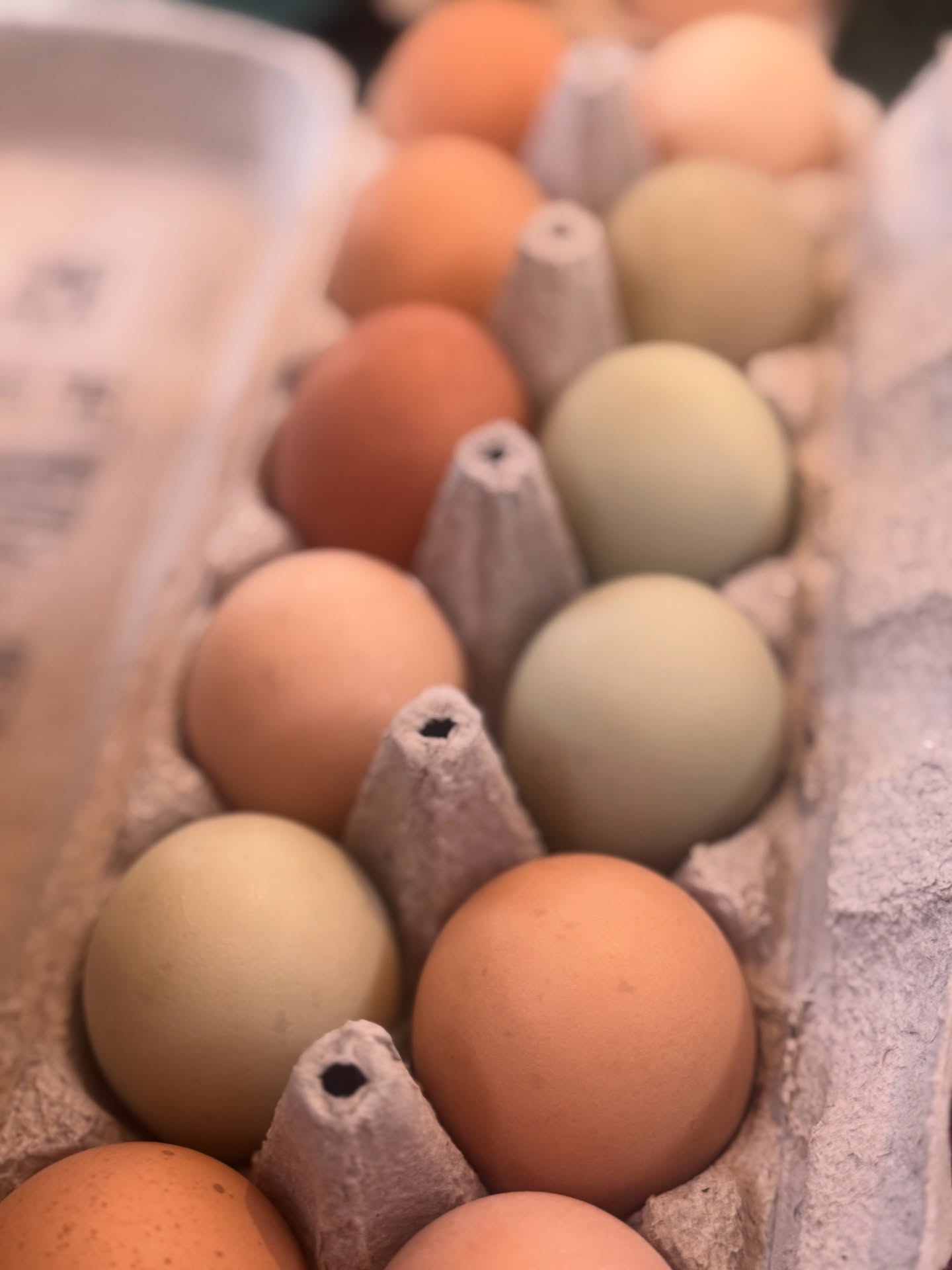 Eggs always make me feel like spring is on the way…I don’t think I believe that this year but at least we are starting to have delicious eggs again @gffarmersmarket !
#shopsmall #eggs #thinkspring