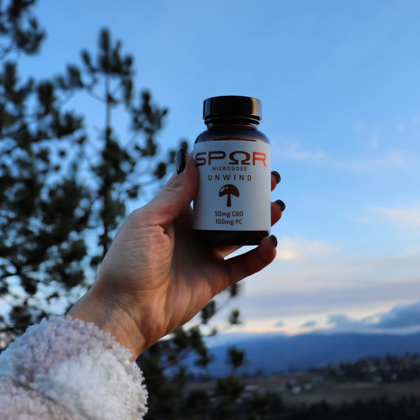 Sometimes a small shift in perspective can make all the difference
#mindfulness #fungi #natural #perspective