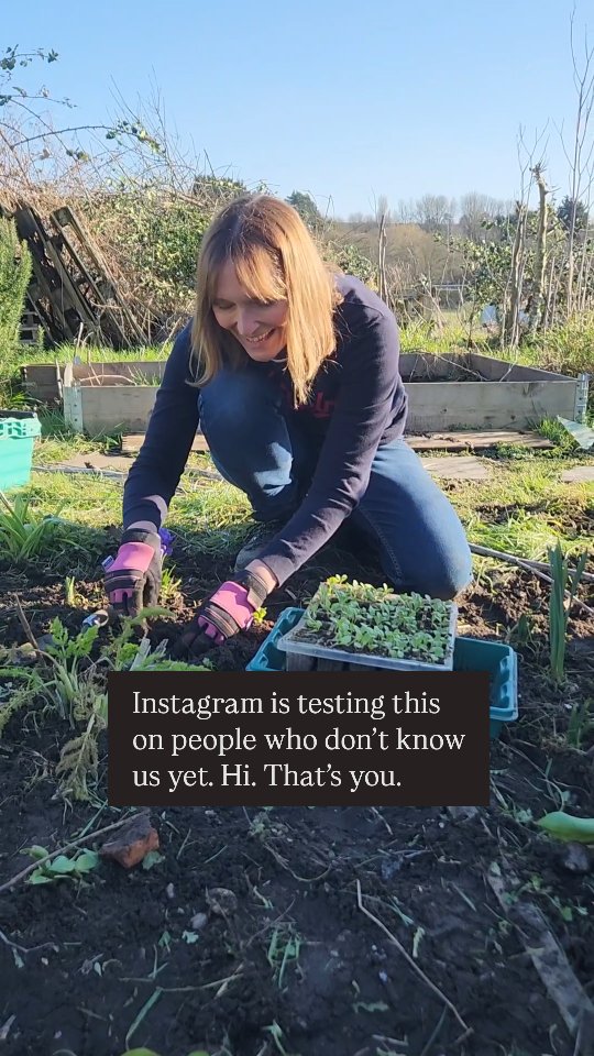 Gardening doesn’t have to be tidy to be joyful.
If you’re new here — welcome.
We grow seed-grown dahlias, make a mess, change our minds, and let the garden be a place for joy rather than perfection.
If that sounds like your kind of gardening, stay awhile 🤍
Pam & Claire x