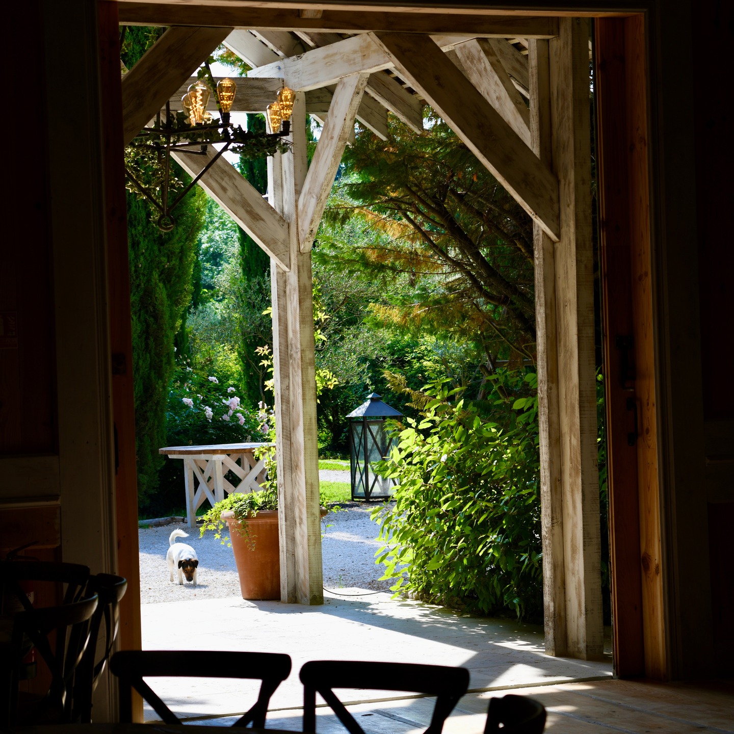 🏛️ Un domaine de mariage où le charme opère dès les premiers pas.
#LaBastideDuRegent #LieuDeMariage #MariageVaucluse #WeddingVenueFrance